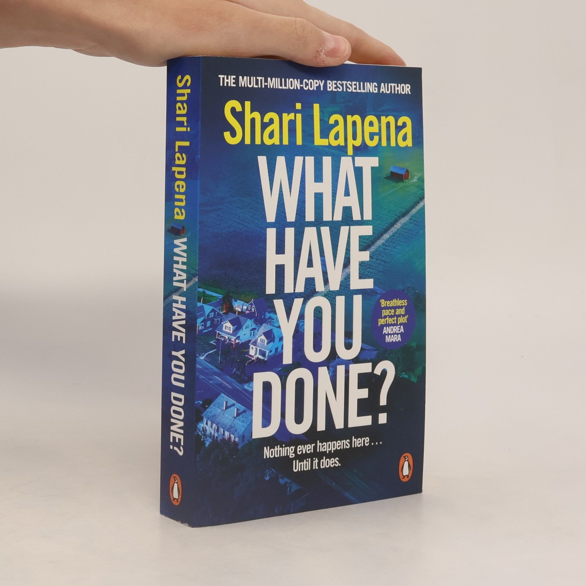 Shari Lapena What Have You Done?