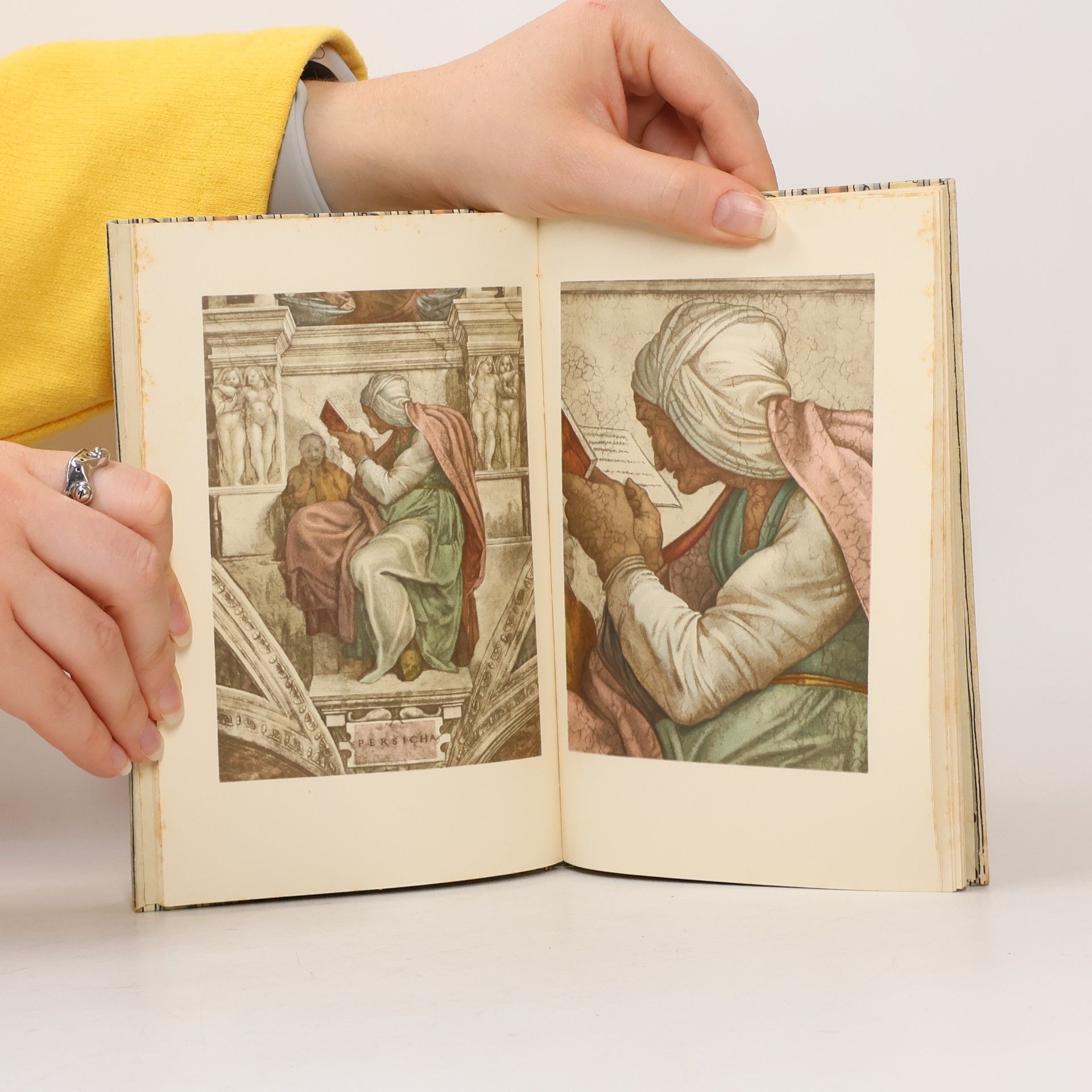 Michelangelo Sibyllen und Propheten