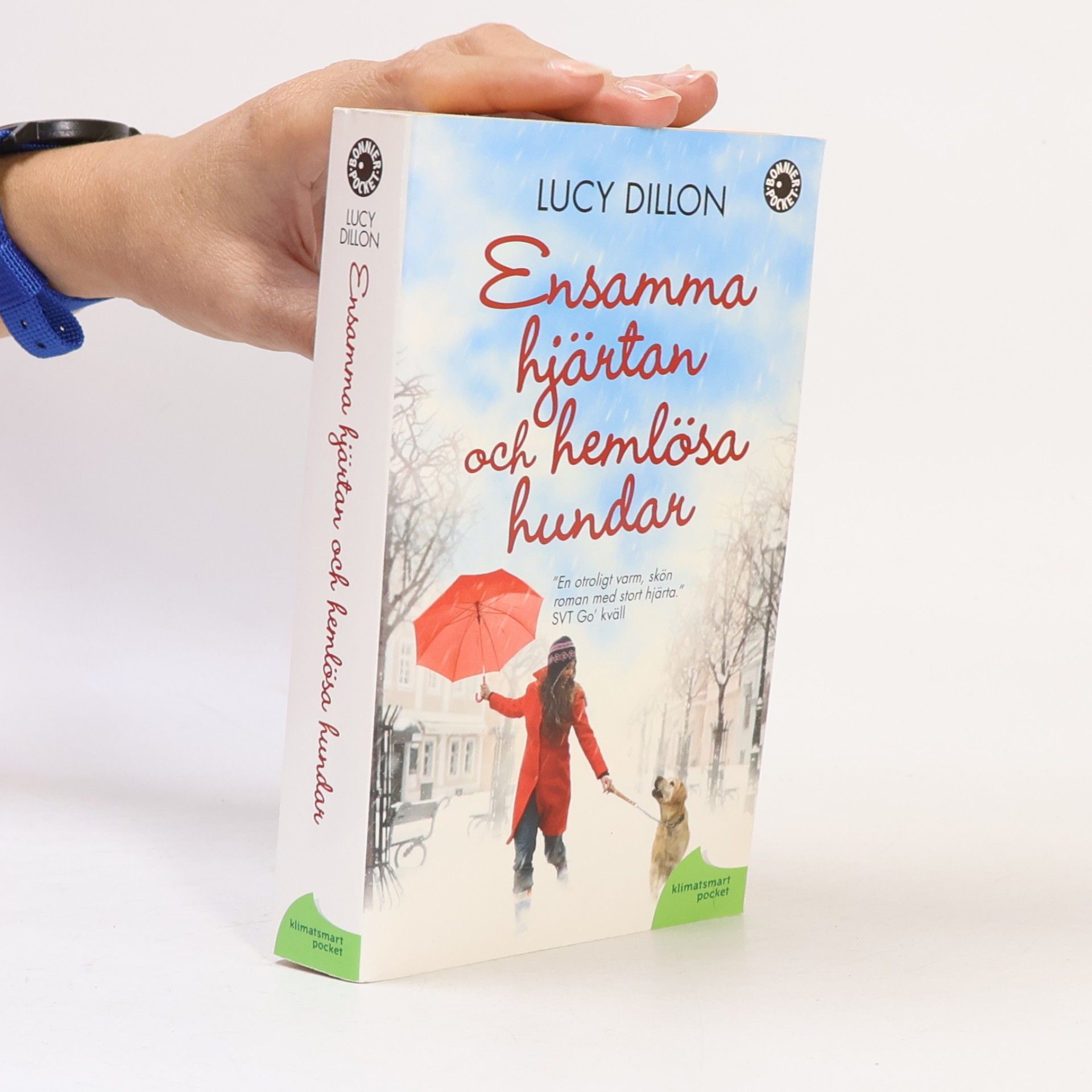 Lucy Dillon Ensamma hjärtan och hemlösa hundar - klimatsmart pocket