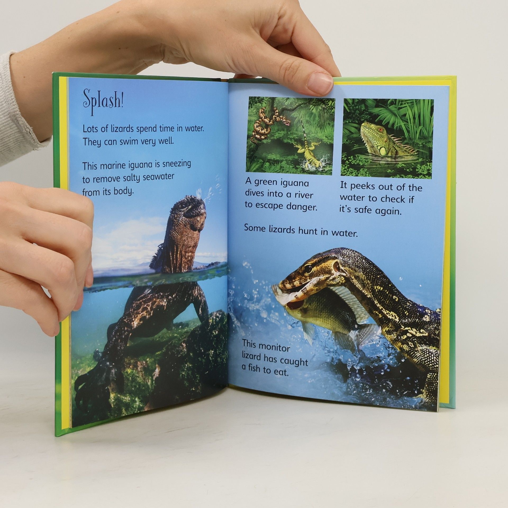 James Maclaine Usborne Beginners - 1: Lizards