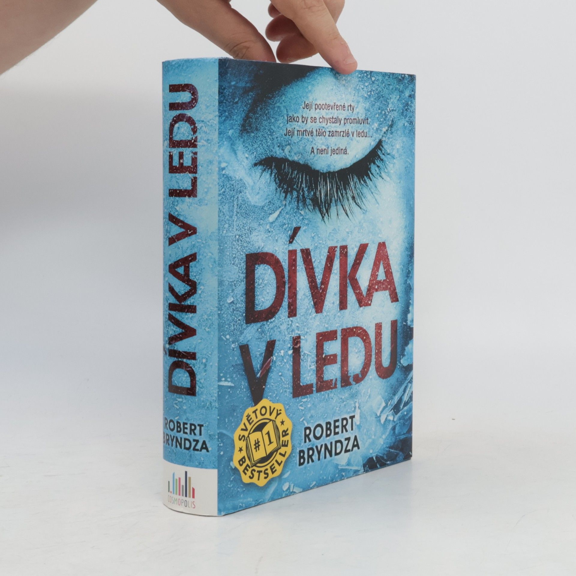 Robert Bryndza Dívka v ledu