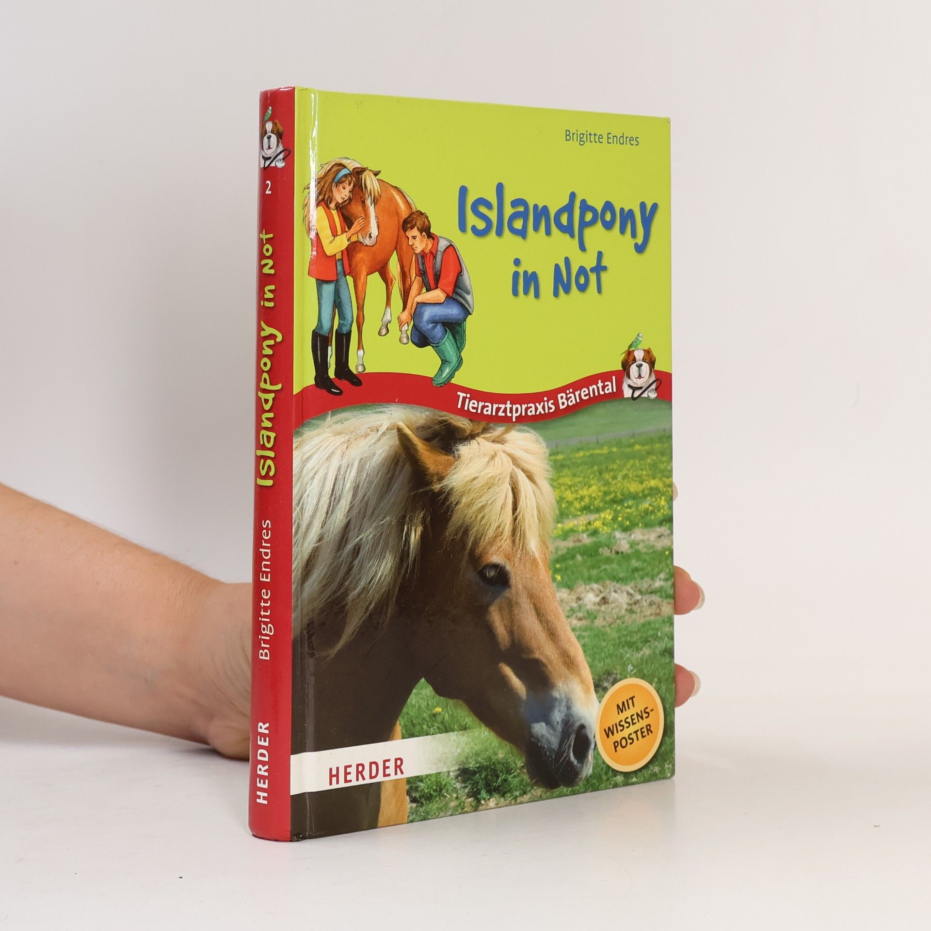 Tierarztpraxis Bärental. Islandpony in Not