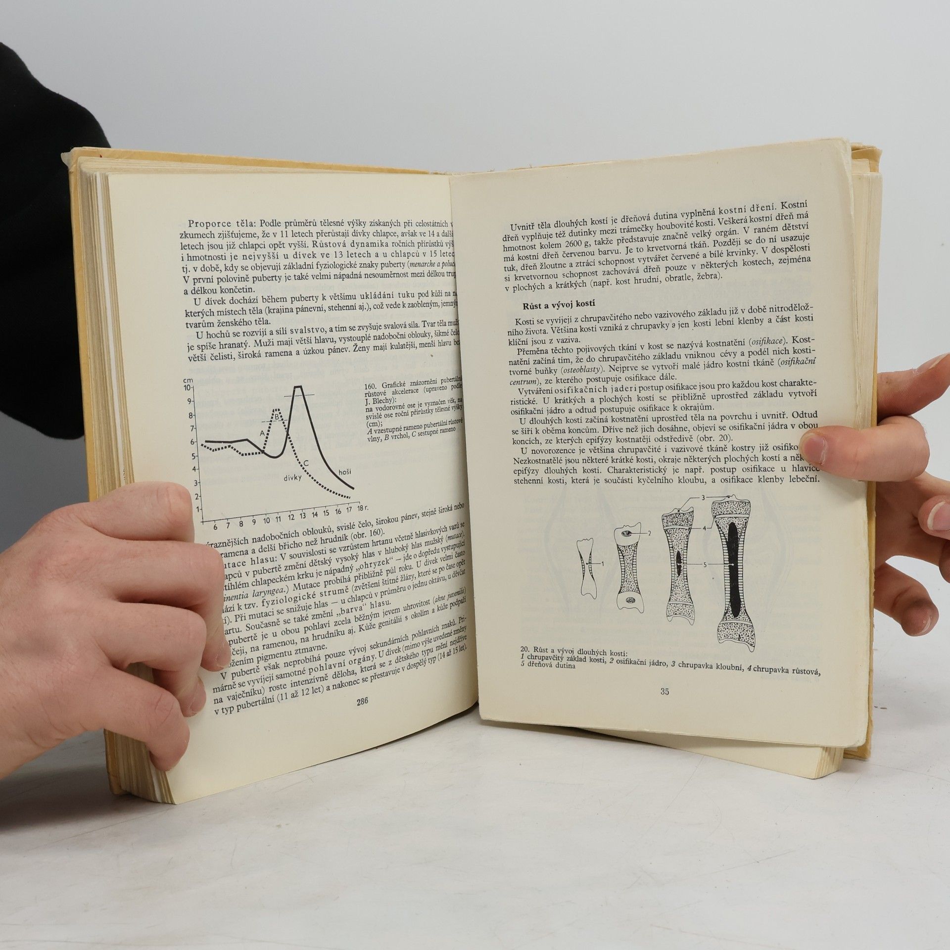 Josef Klementa Somatologie a antropologie