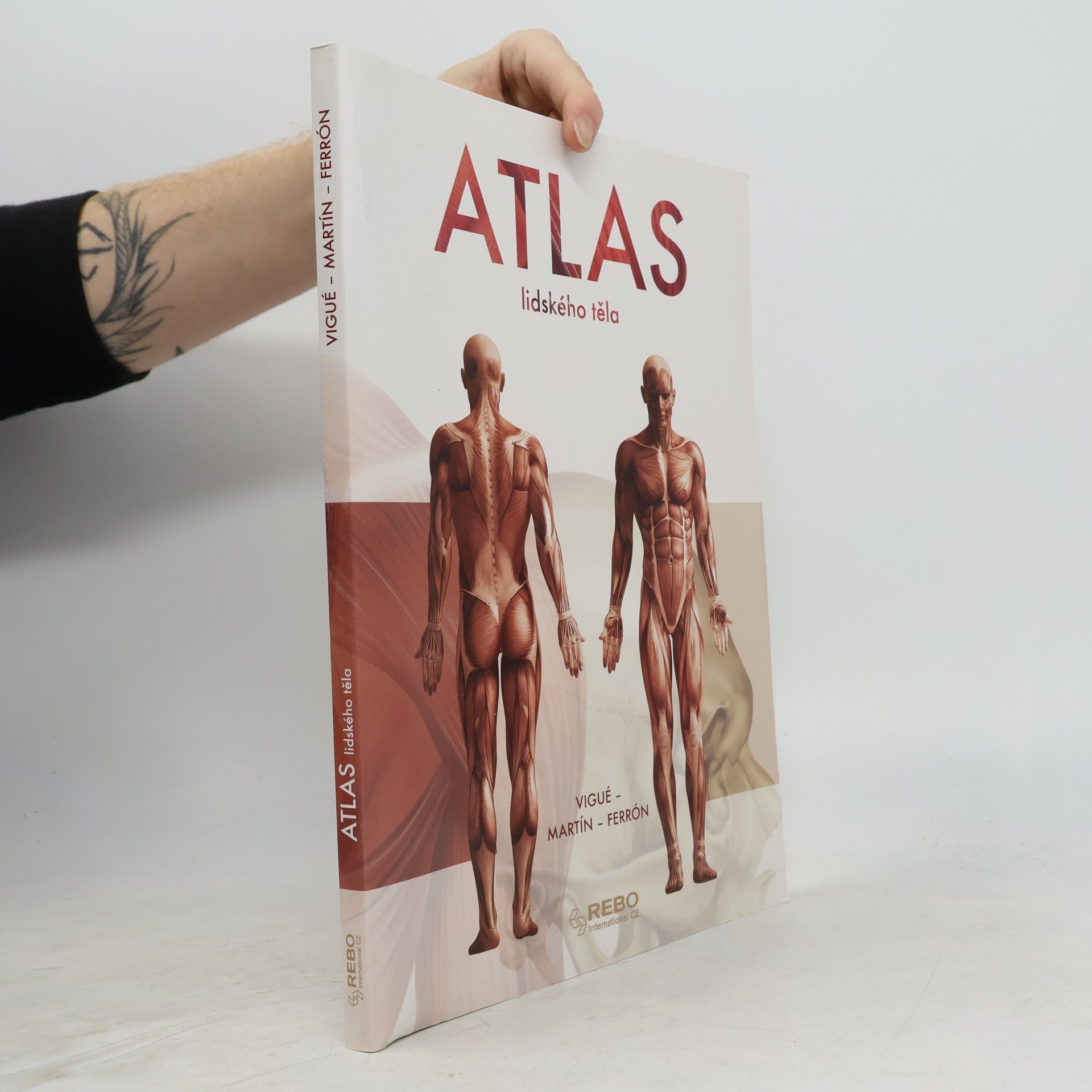Jordi Vigué Atlas lidského těla