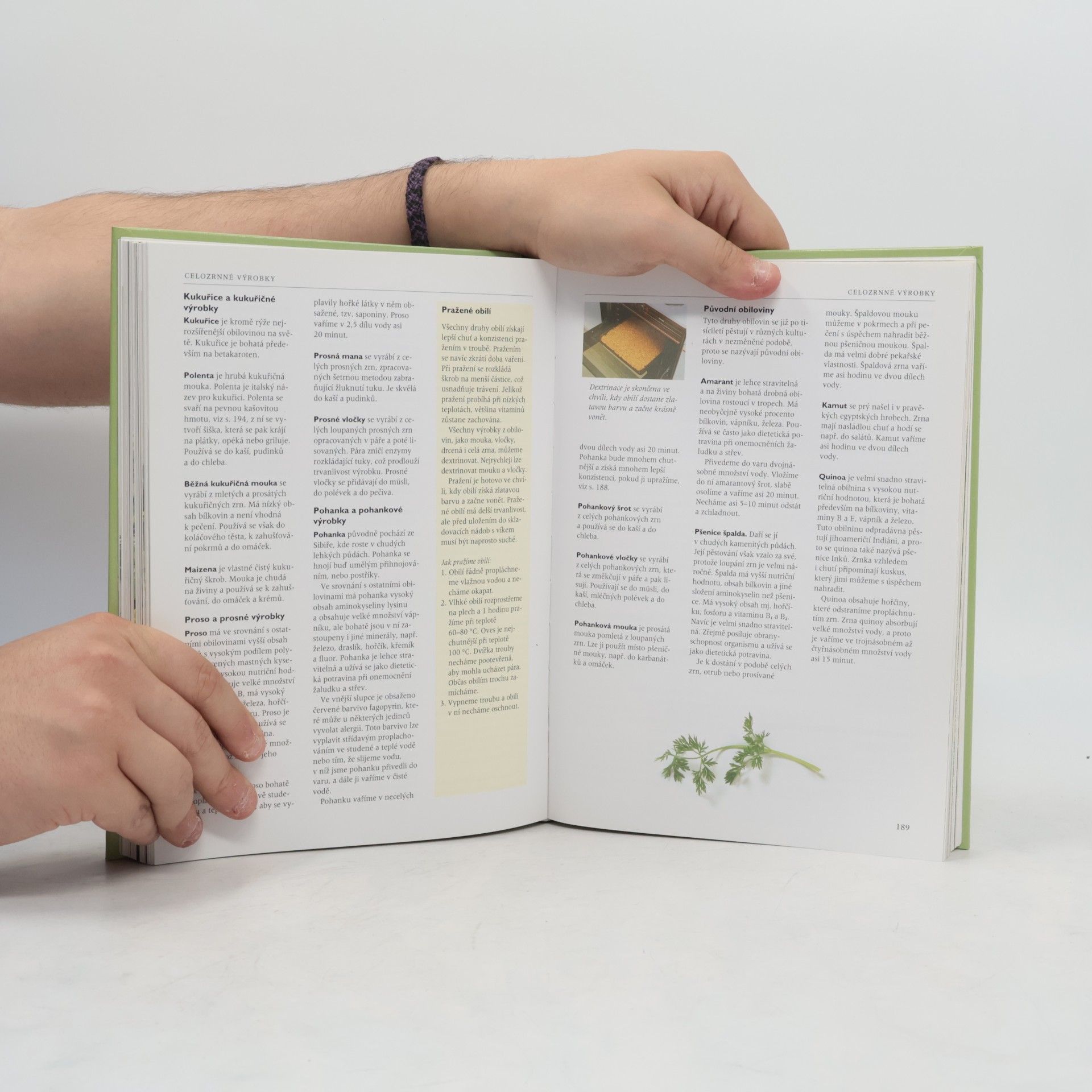 Inga-Britta Sundqvist Vegetariánská kuchařka