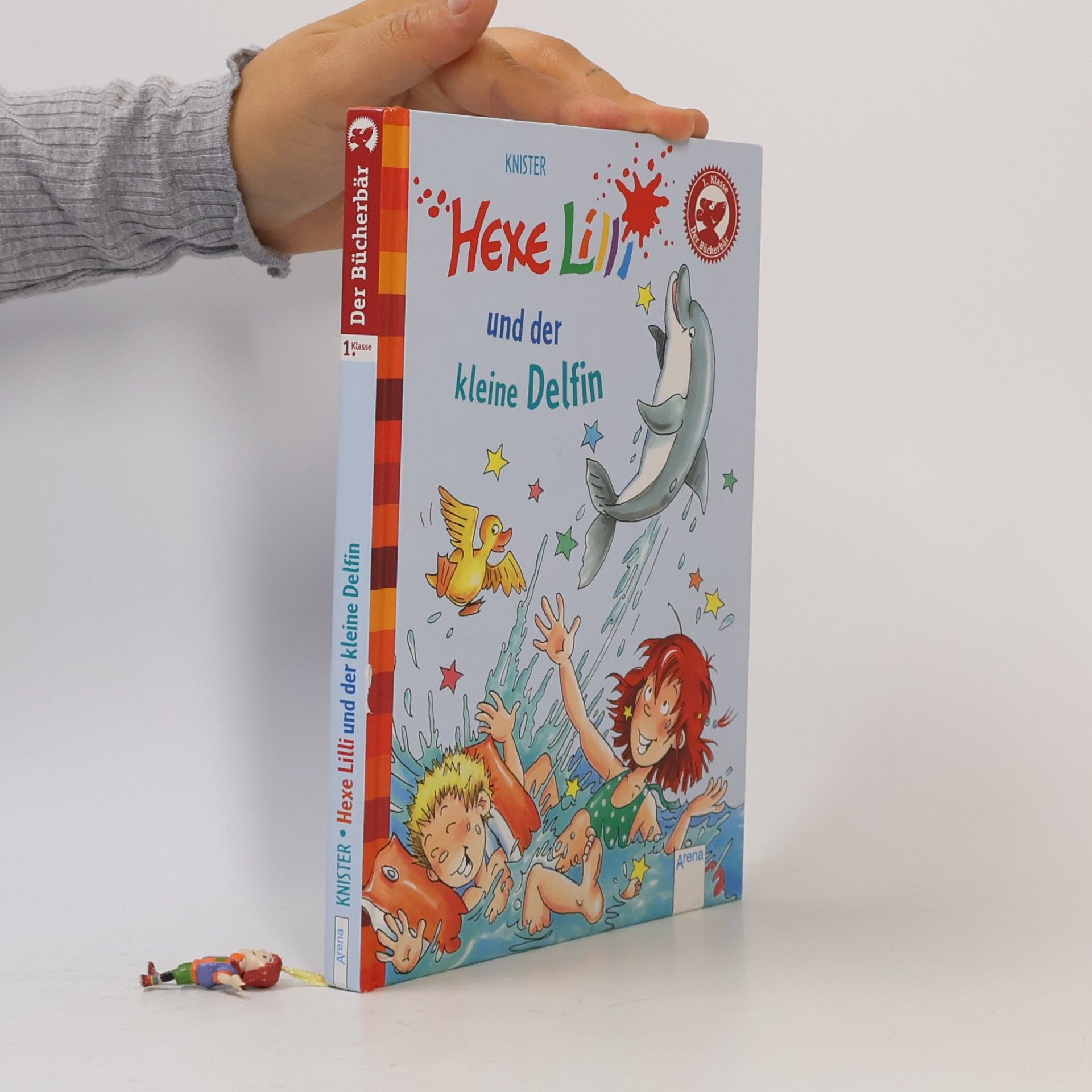Knister Hexe Lilli und der kleine Delfin