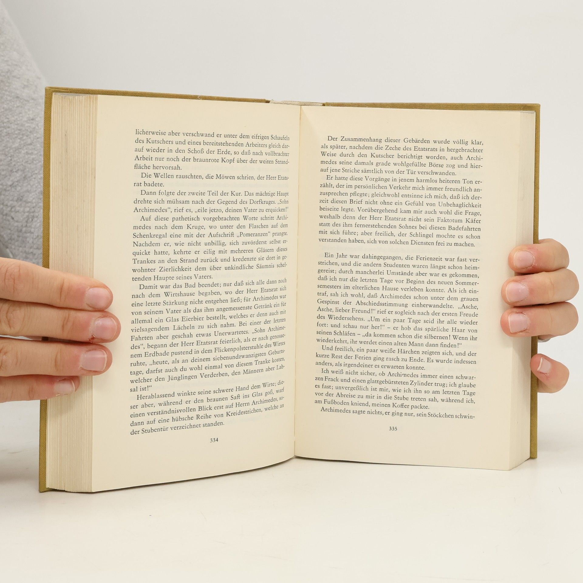 Theodor Storm Novellen 3