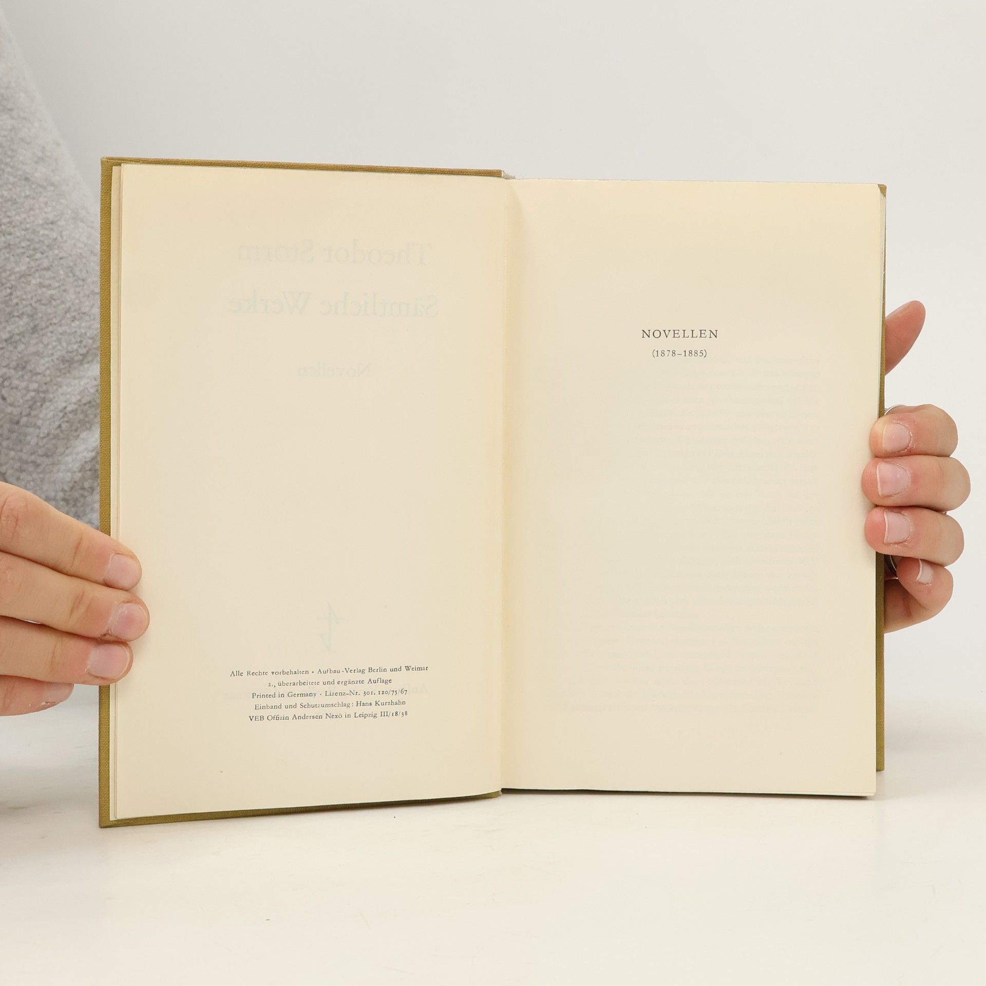 Theodor Storm Novellen 3