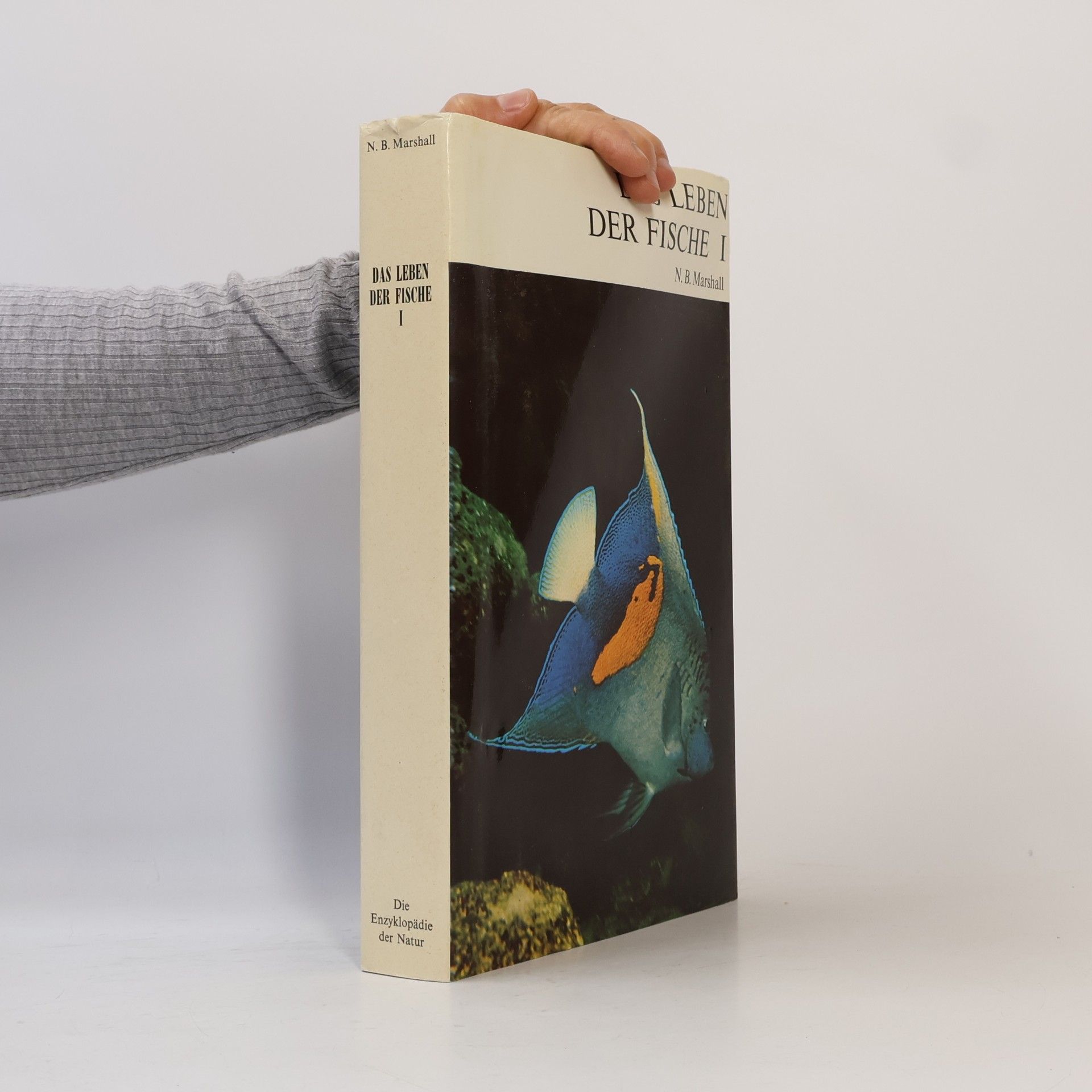 Das Leben der Fische I
