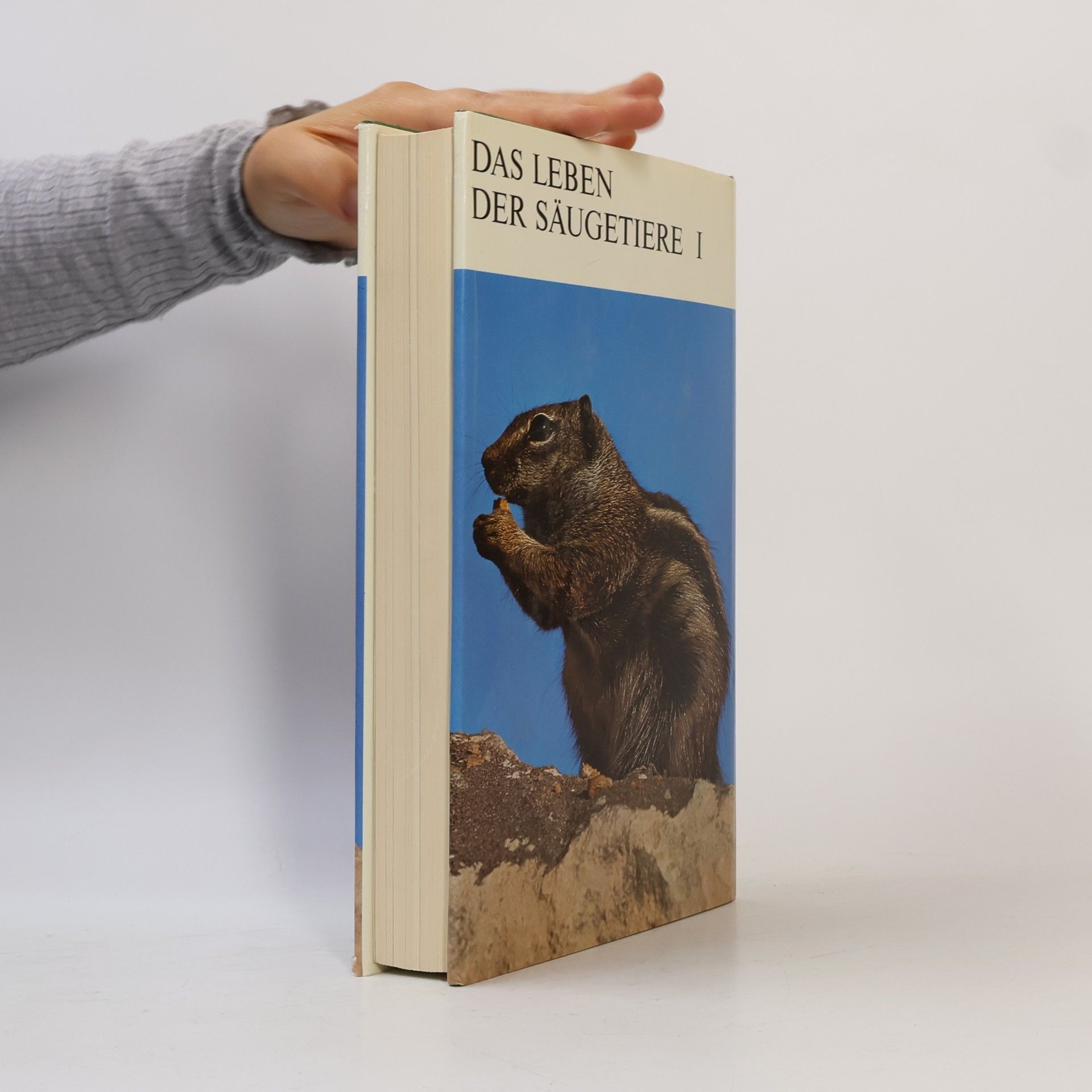 Autorenkollektiv Das Leben der Säugetiere I