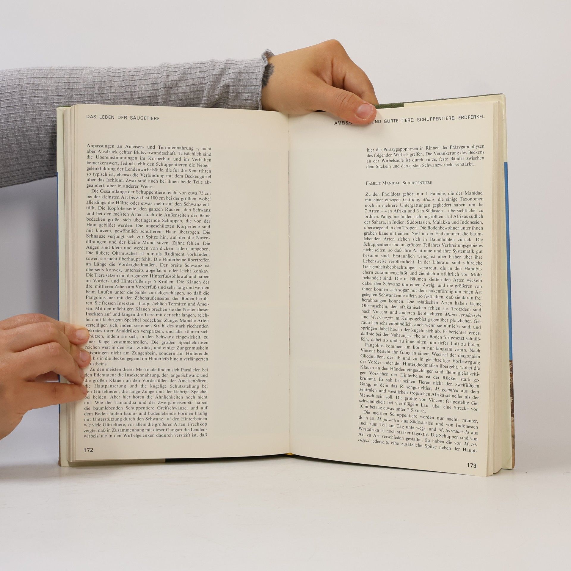 Autorenkollektiv Das Leben der Säugetiere I