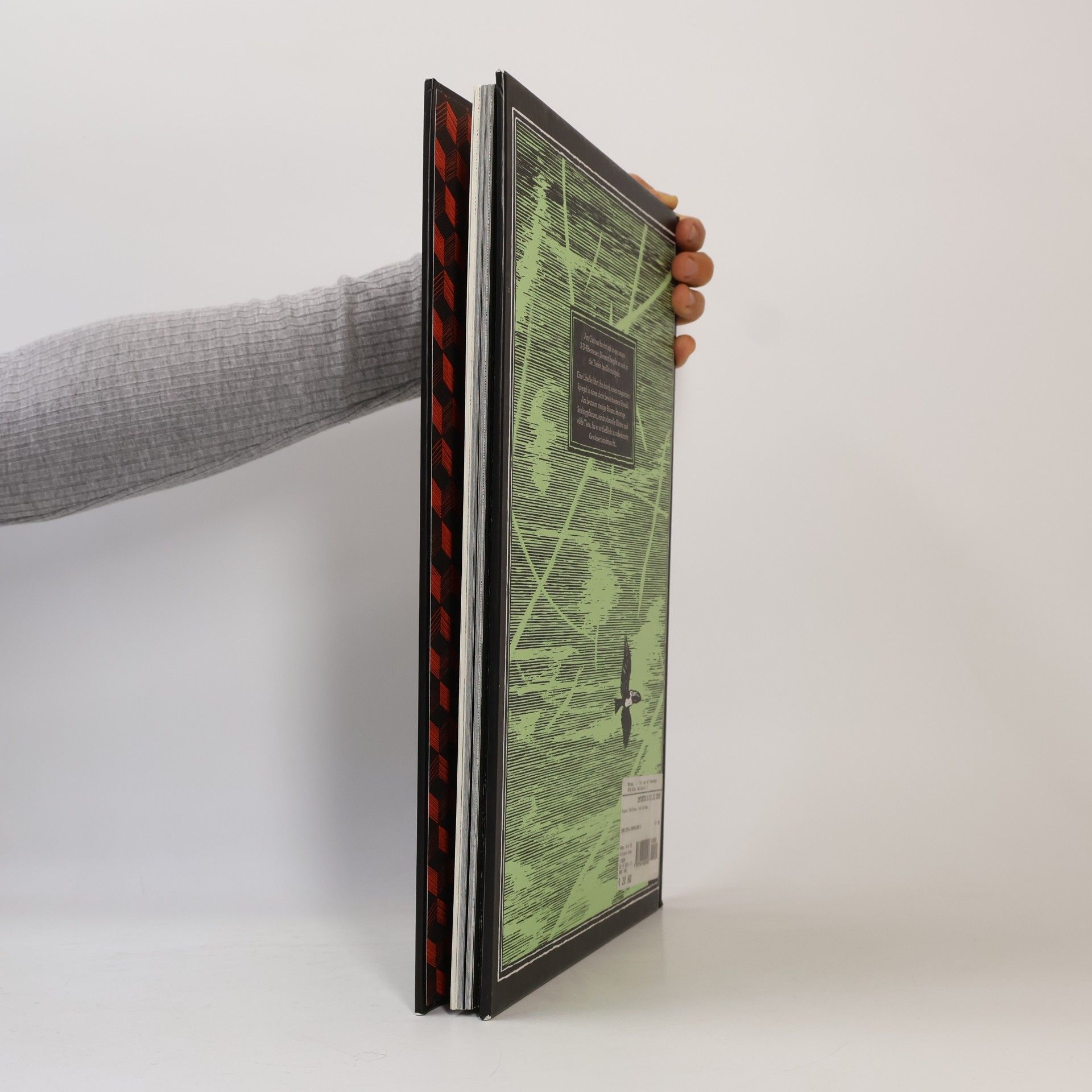 Matthias Picard Jim Curious - Streifzug durch den Dschungel