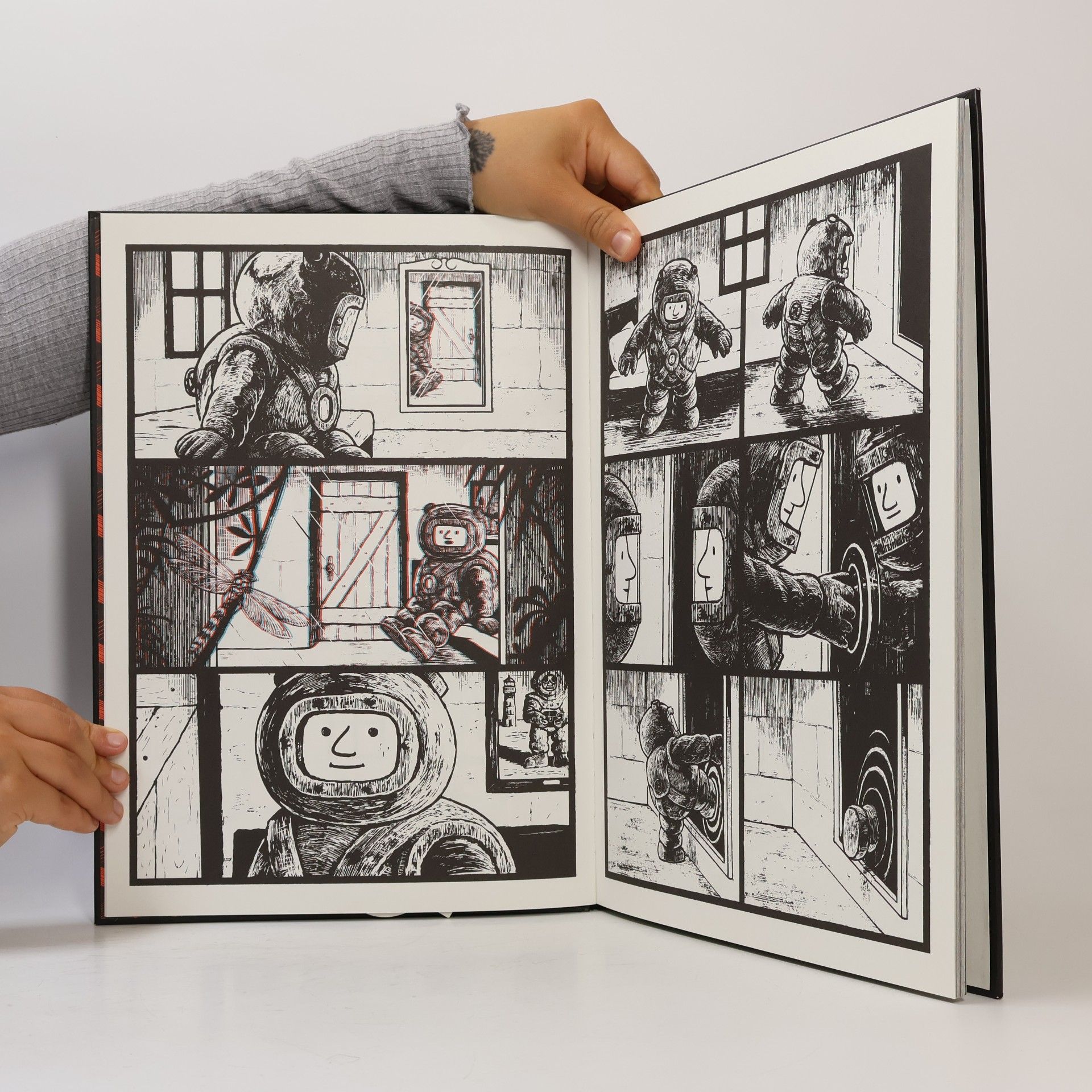 Matthias Picard Jim Curious - Streifzug durch den Dschungel