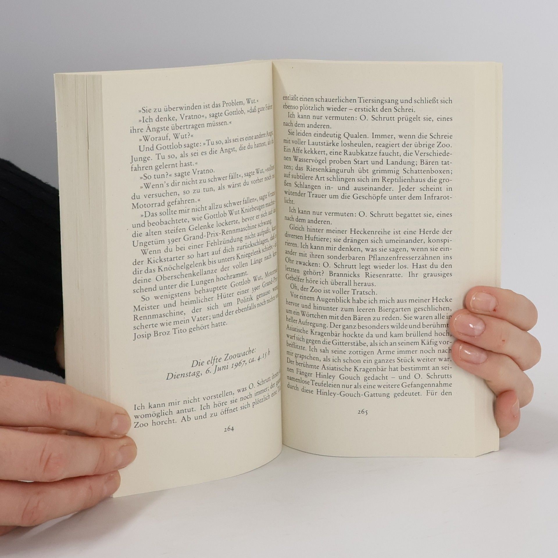 John Irving Laßt die Bären los