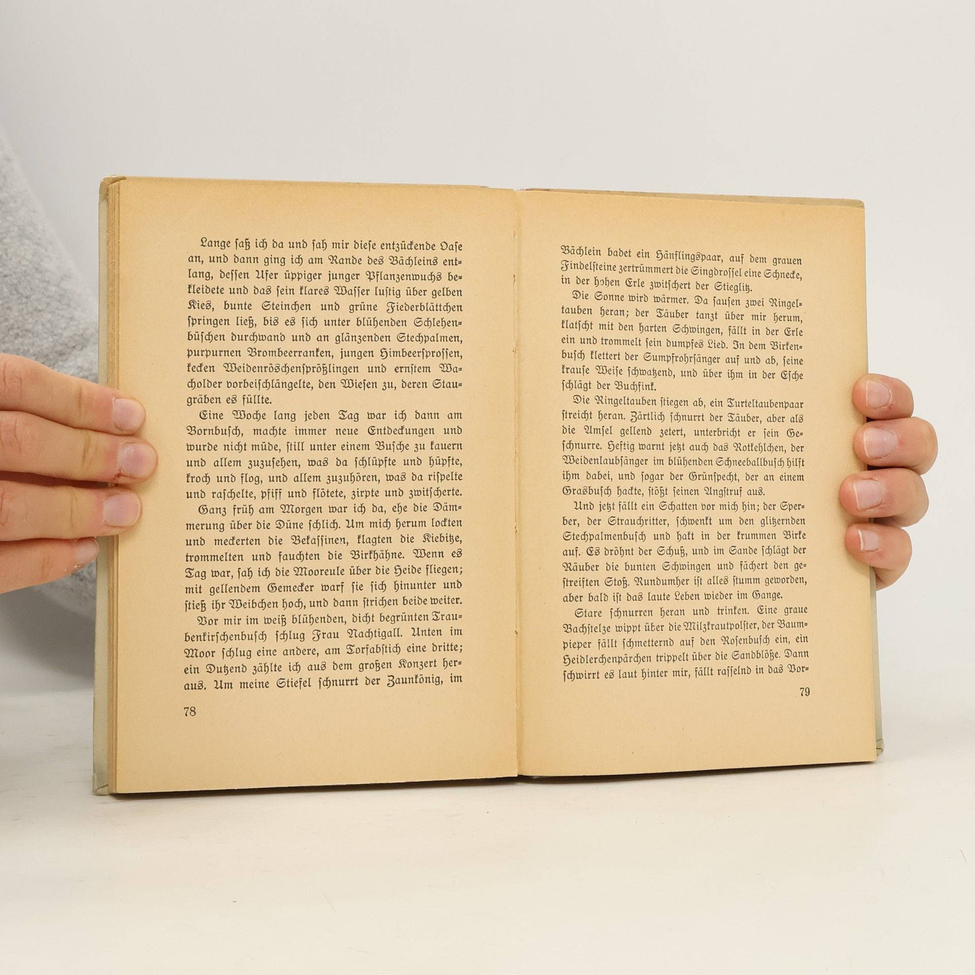 Hermann Löns Was da kreucht und fleugt : ein Tierbuch