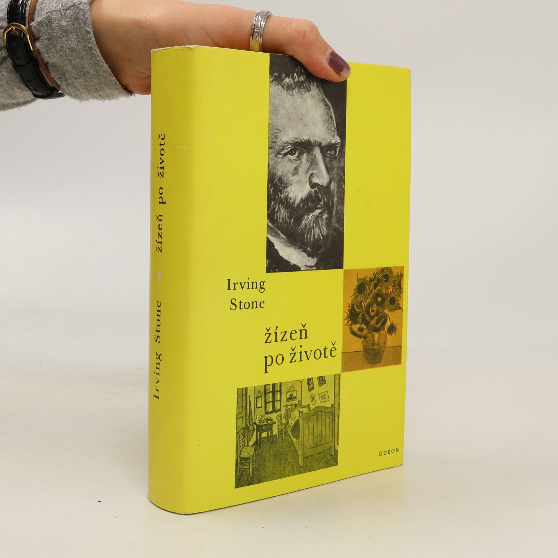 Irving Stone Žízeň po životě