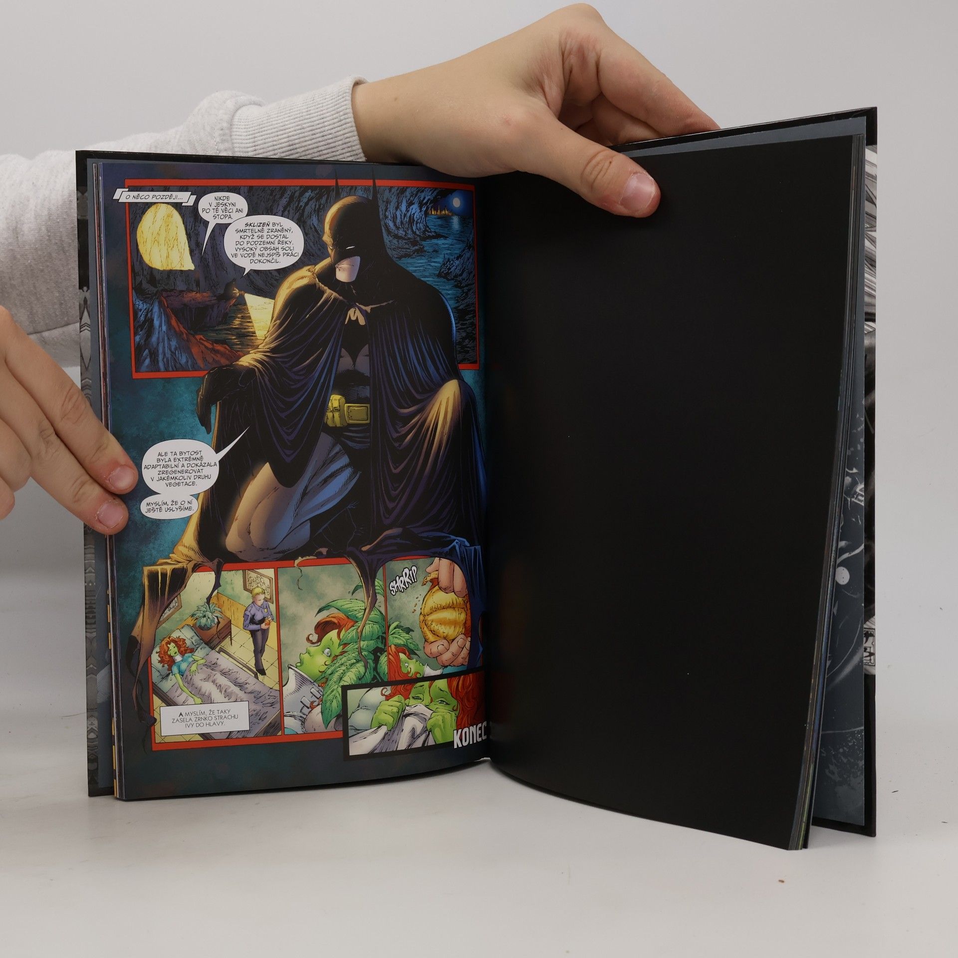 Paul Dini DC Comics - Legenda o Batmanovi: Detektiv