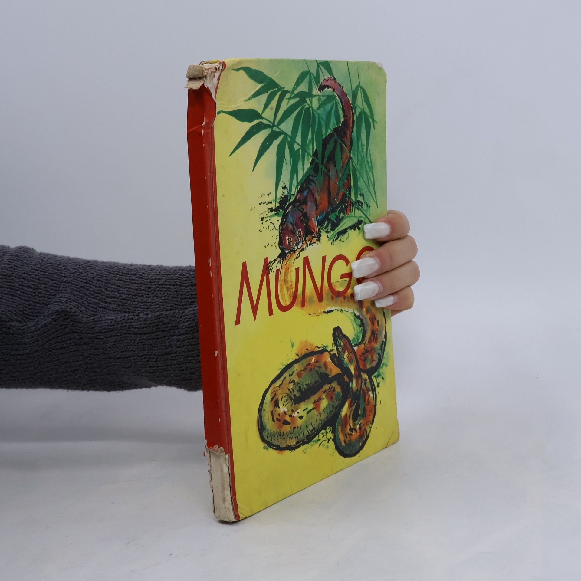 Collectif d'auteurs Mungo und andere Tiergeschichten