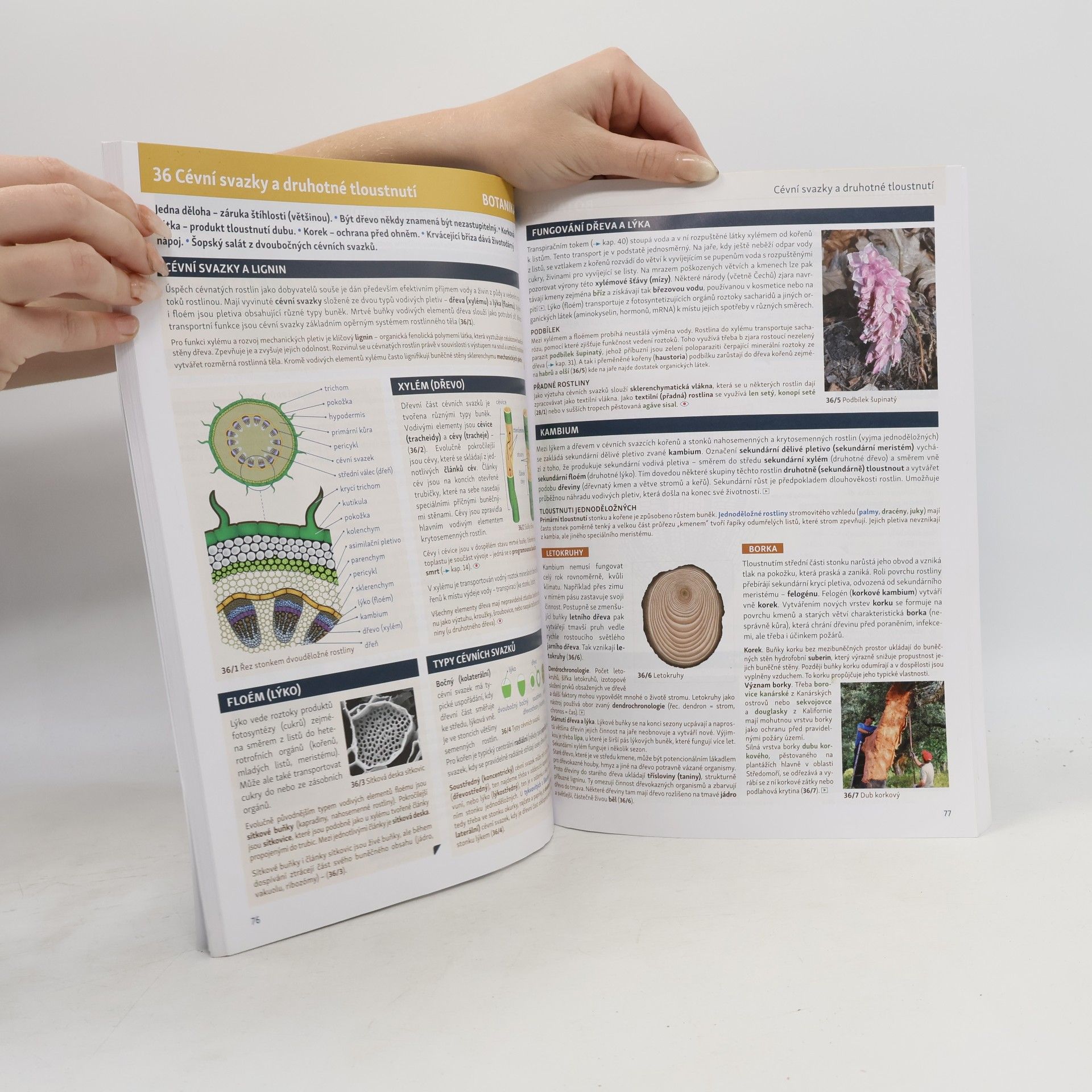 Eduko Biologie v souvislostech 1