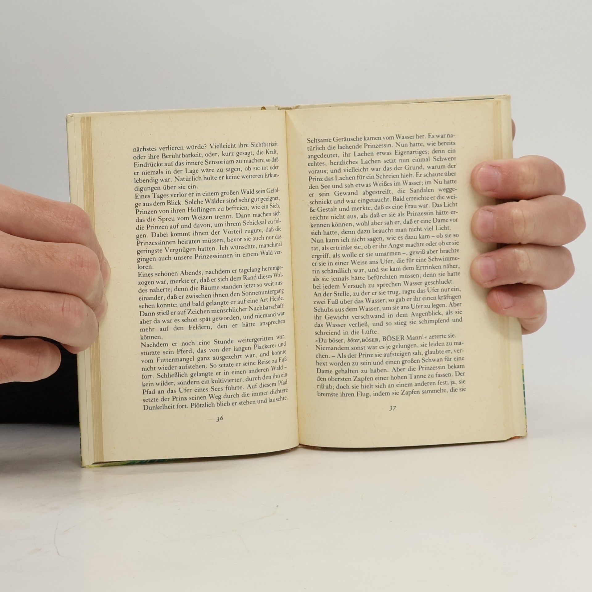 George MacDonald Das Märchen von der Lichtprinzessin