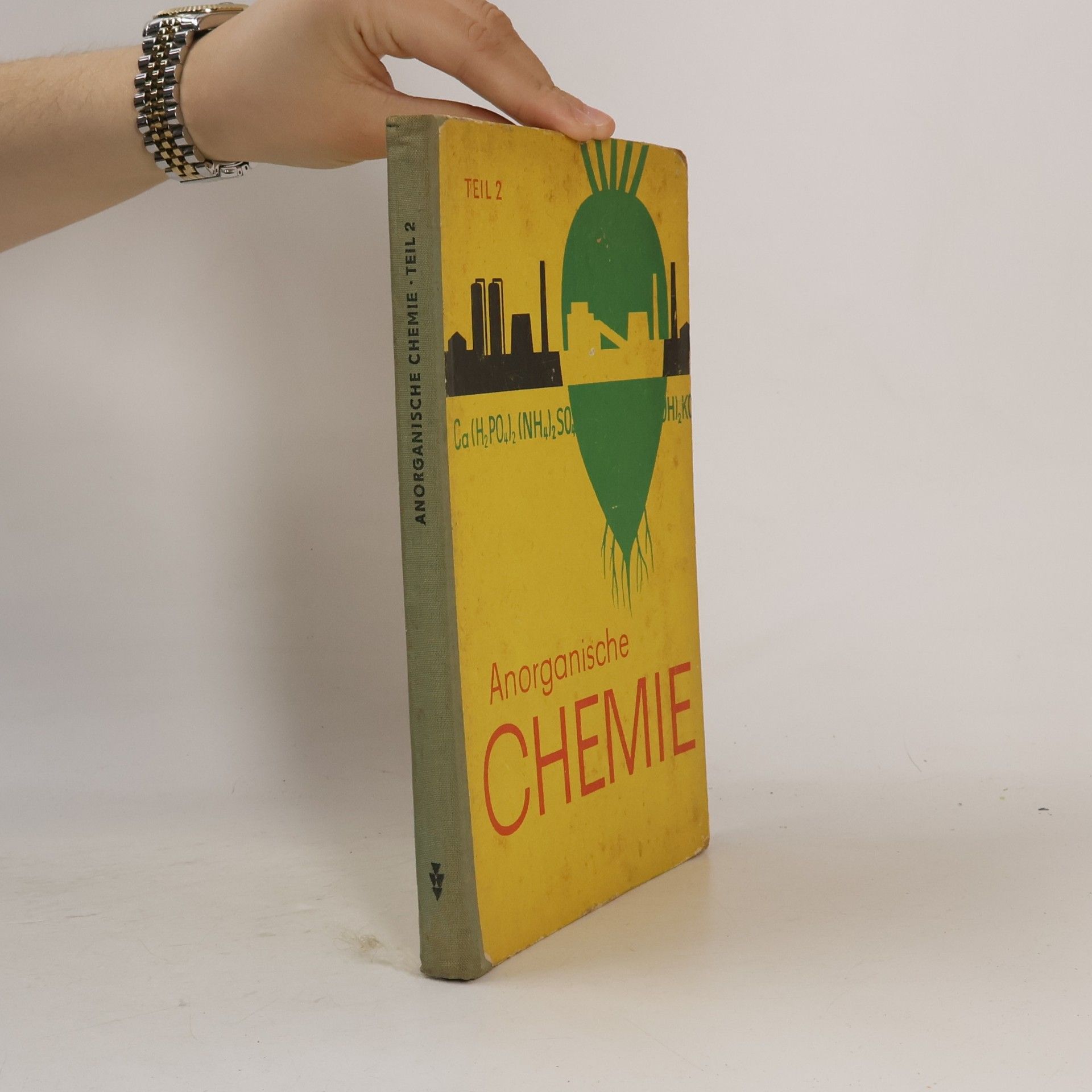 Werner Renneberg Anorganische Chemie