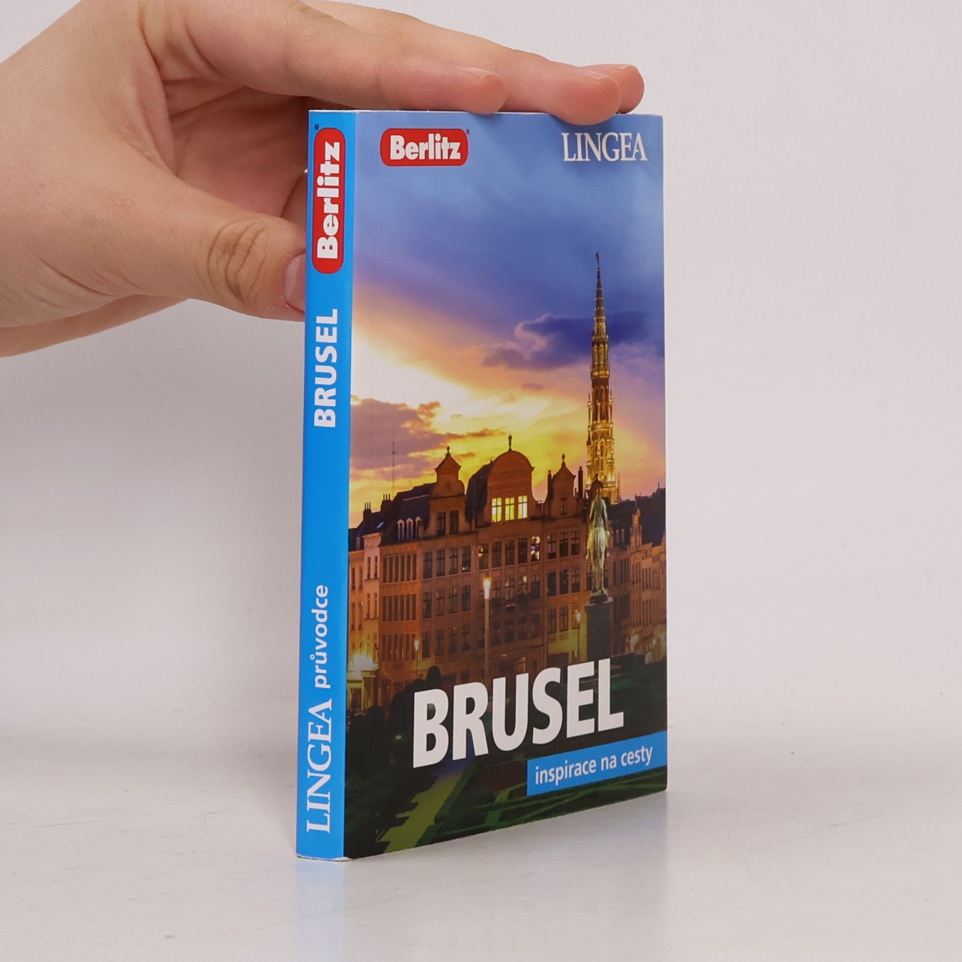 Kolektiv autorů Brusel