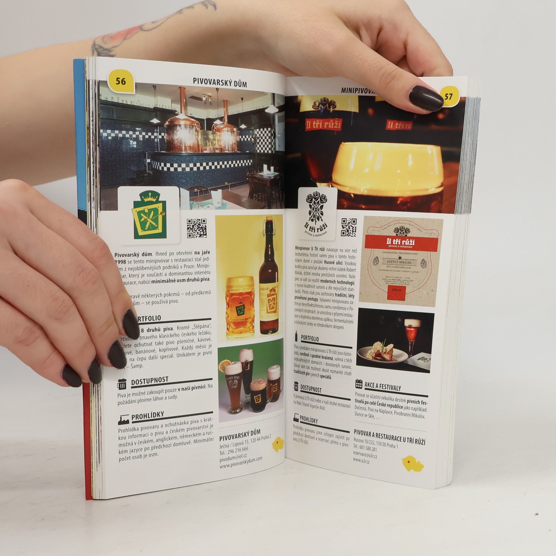 Autorenkollektiv Pivo a pivovary Čech, Moravy a Slezska