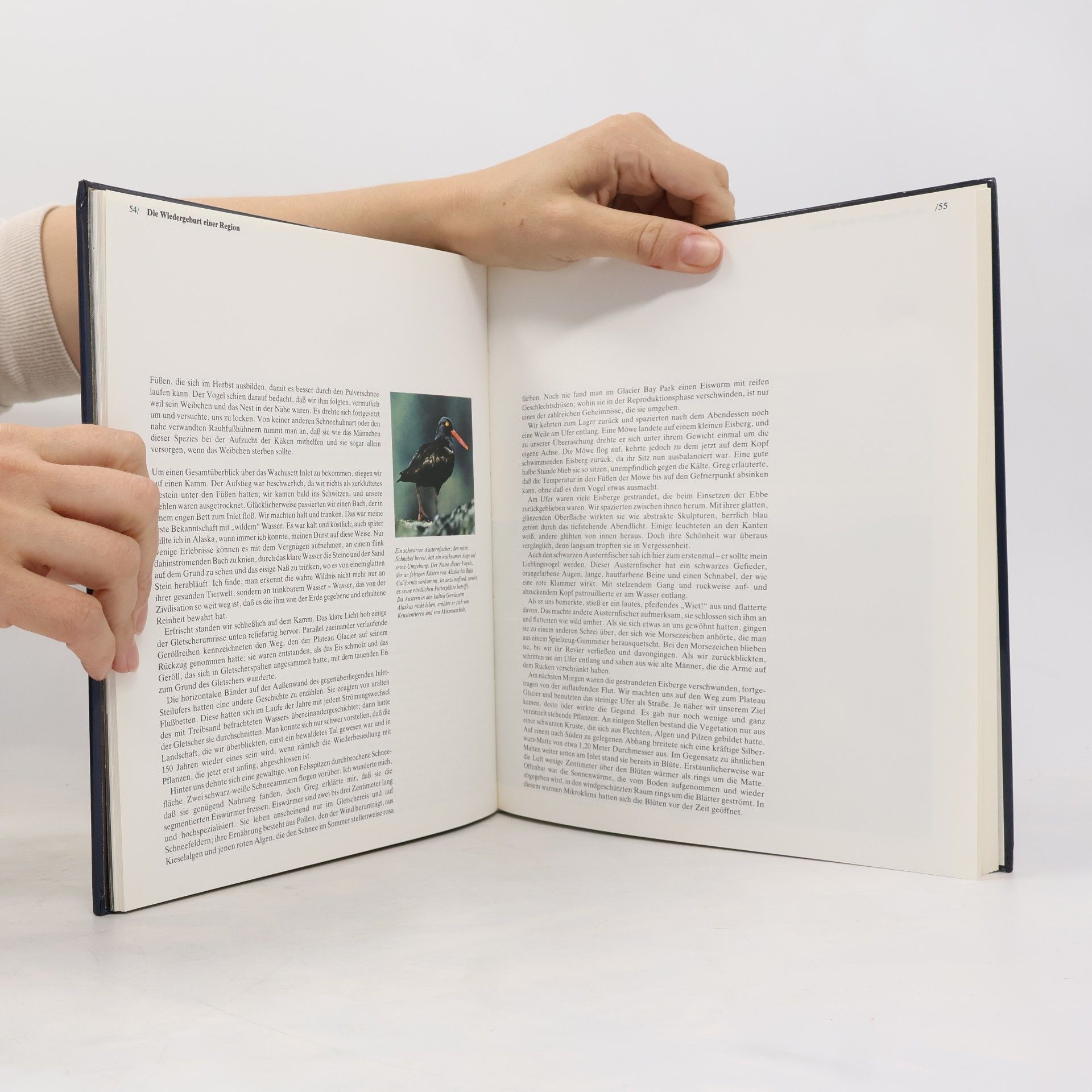 Various authors Alaska Die Wildnisse der Welt