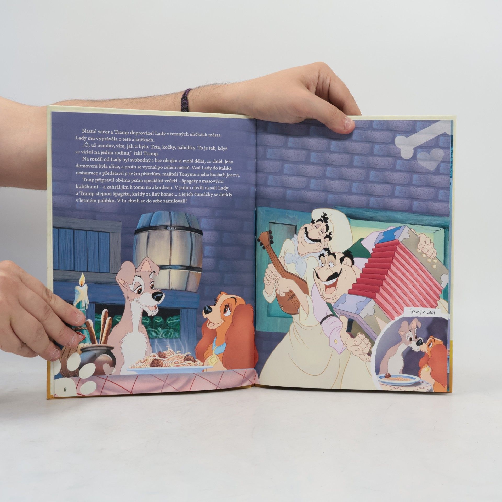 Autorenkollektiv Kouzelné audio pohádky 17. Lady a Tramp