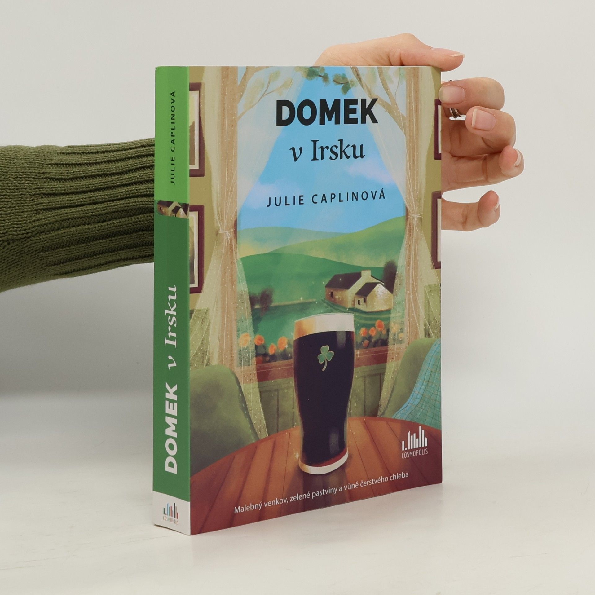 Julie Caplin Domek v Irsku