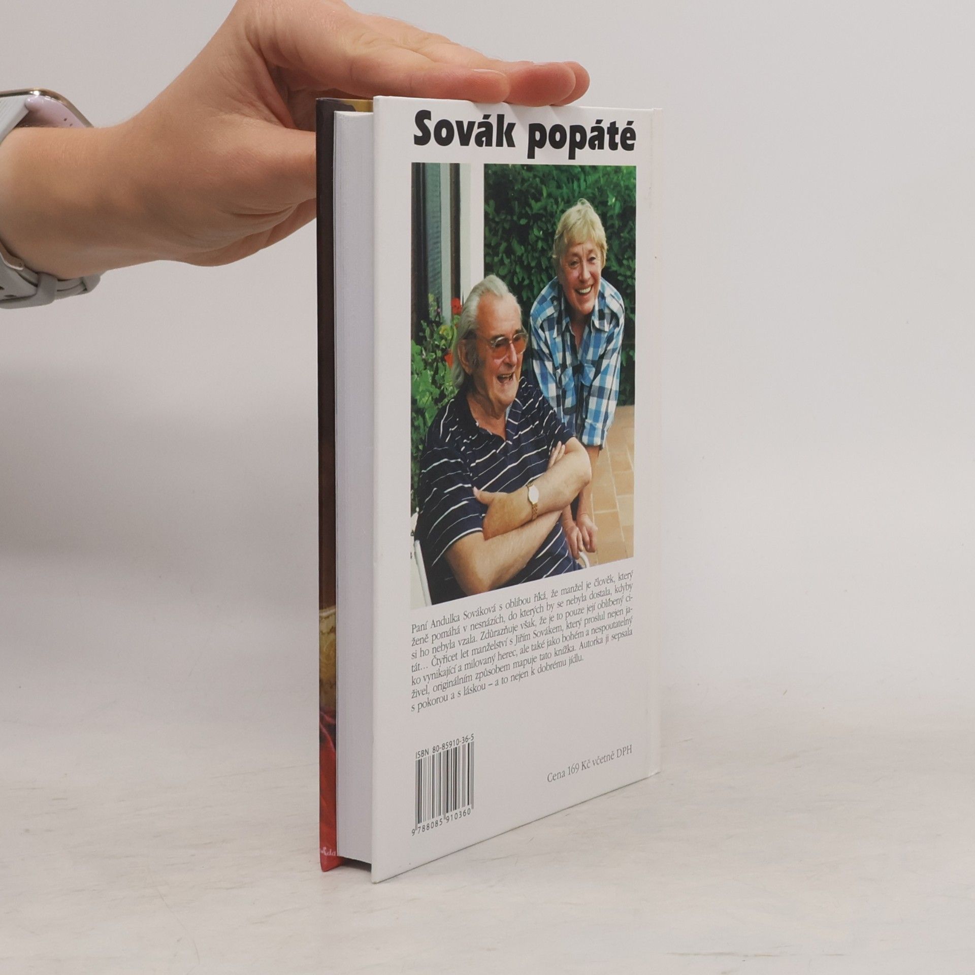 Anna Sováková Sovák popáté. Život se Sovákem, aneb, Uragán