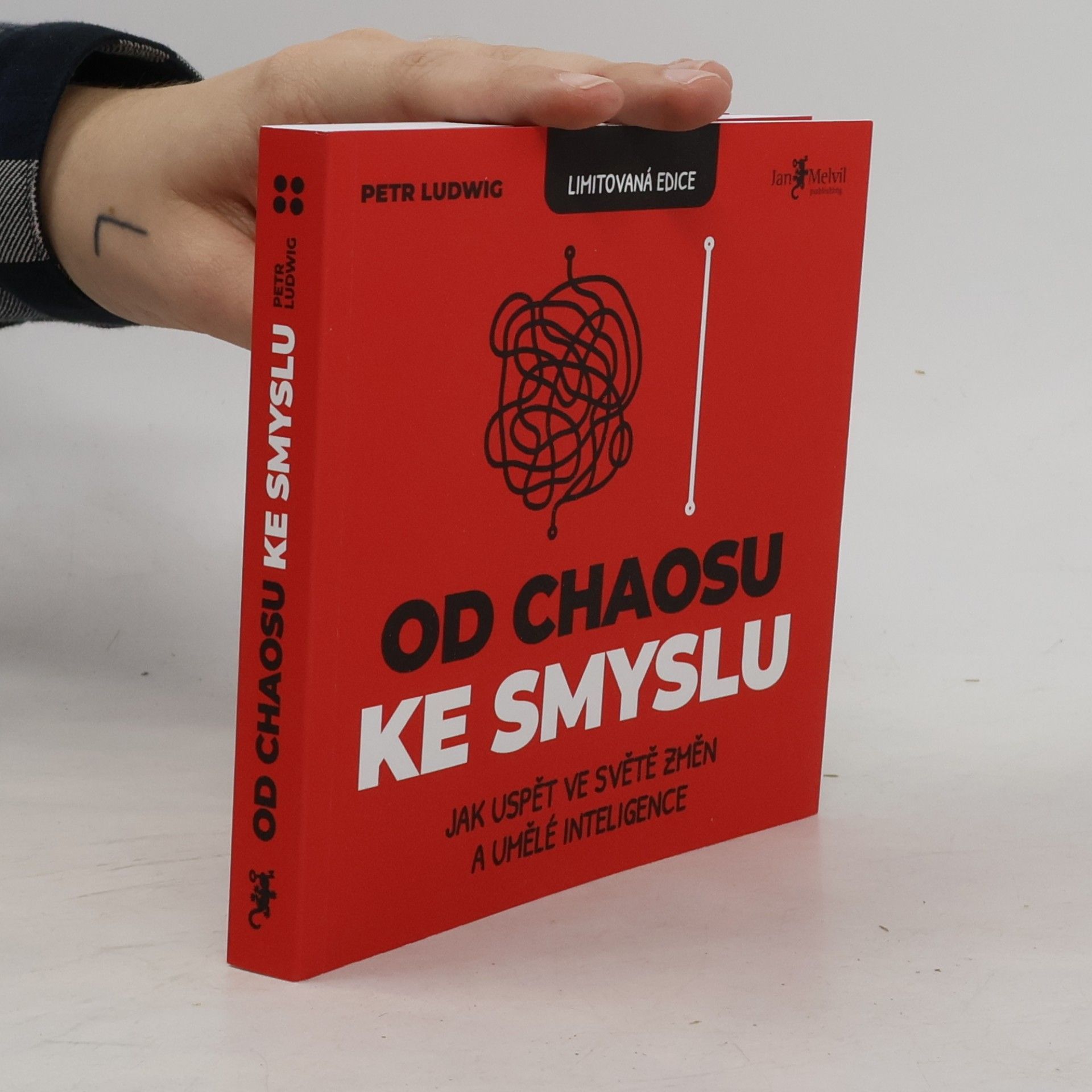 Od chaosu ke smyslu