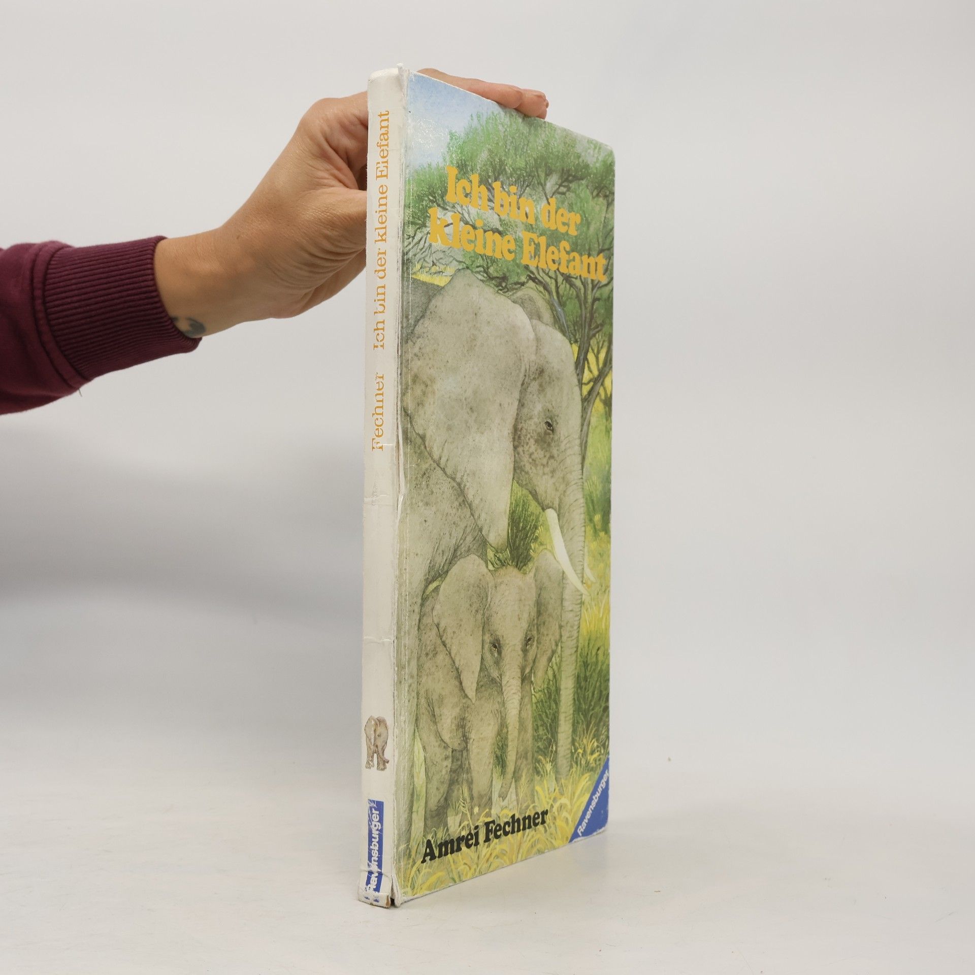 Amrei Fechner Ich bin der kleine Elefant