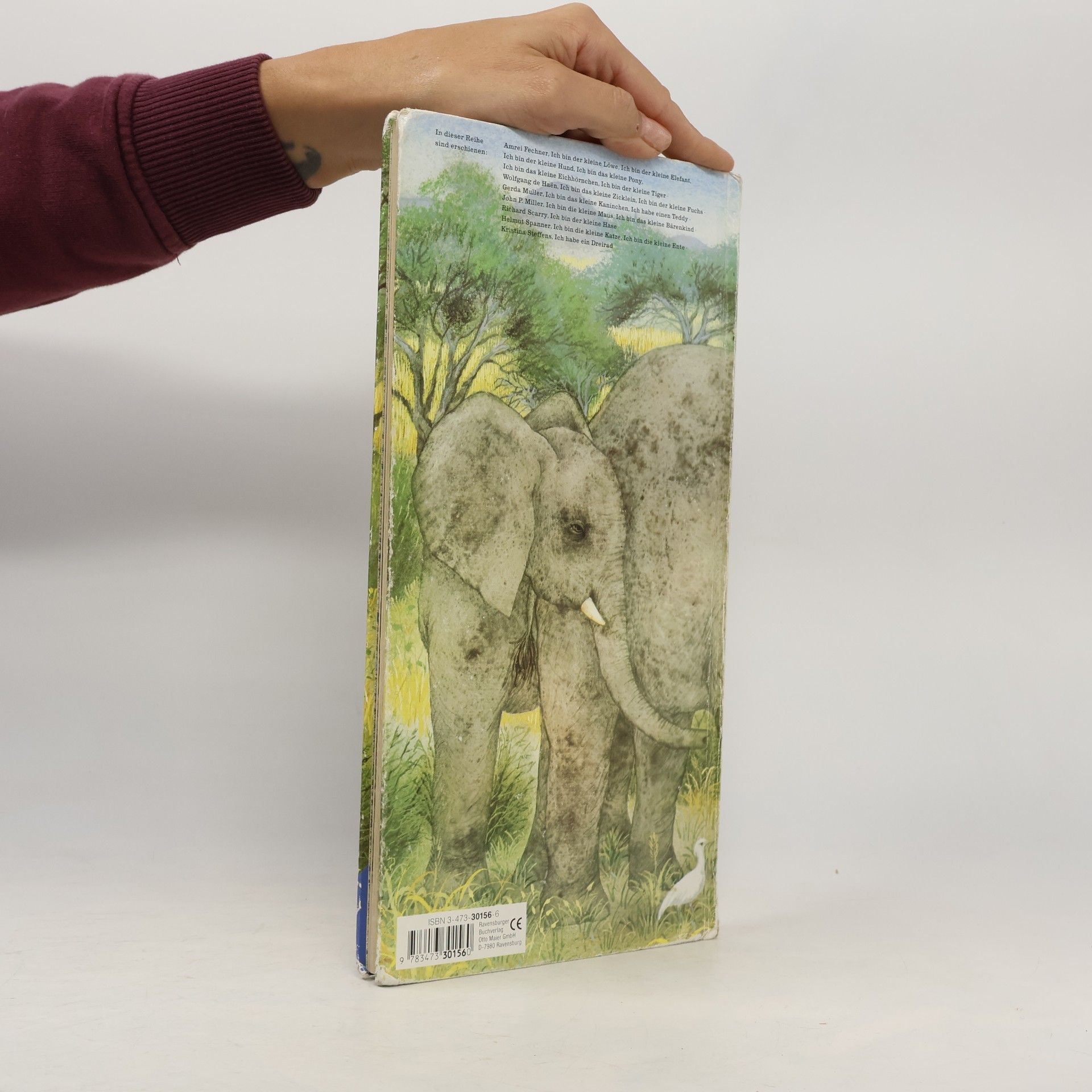 Amrei Fechner Ich bin der kleine Elefant