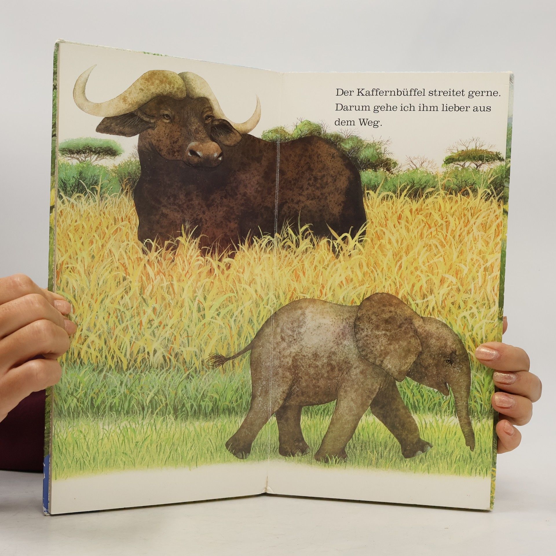 Amrei Fechner Ich bin der kleine Elefant