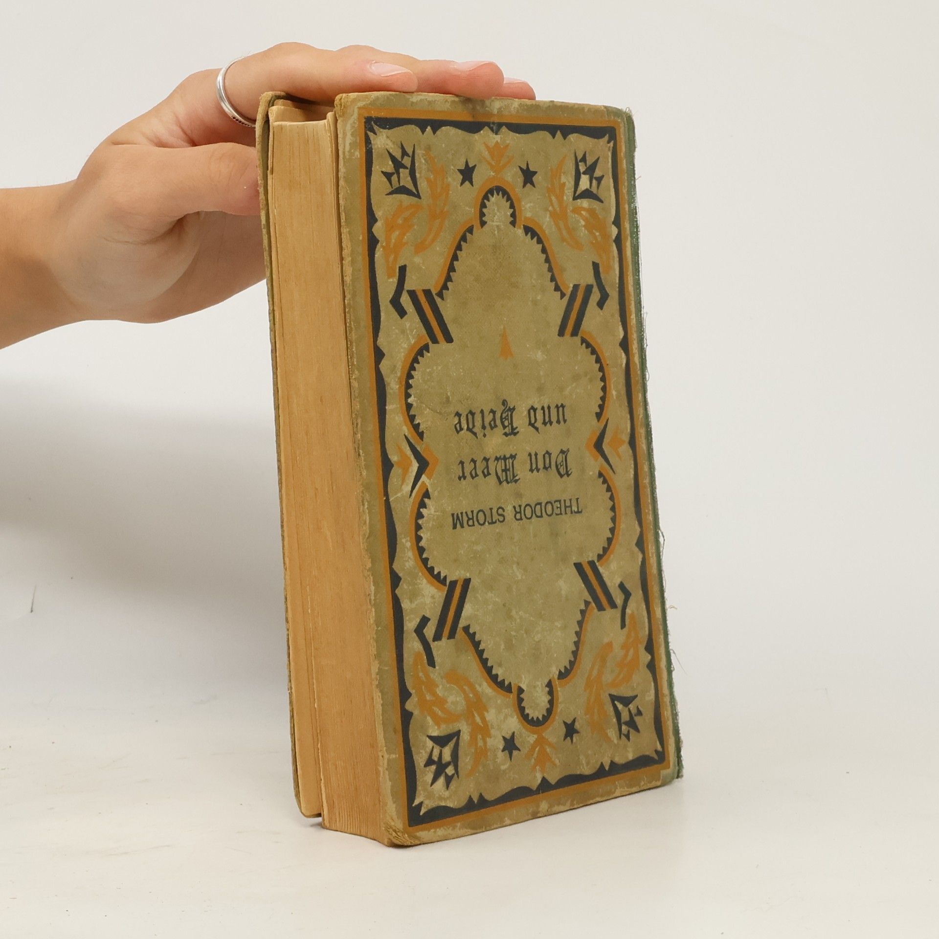 Theodor Storm Von Meer und Heide Die zehn schönsten Novellen