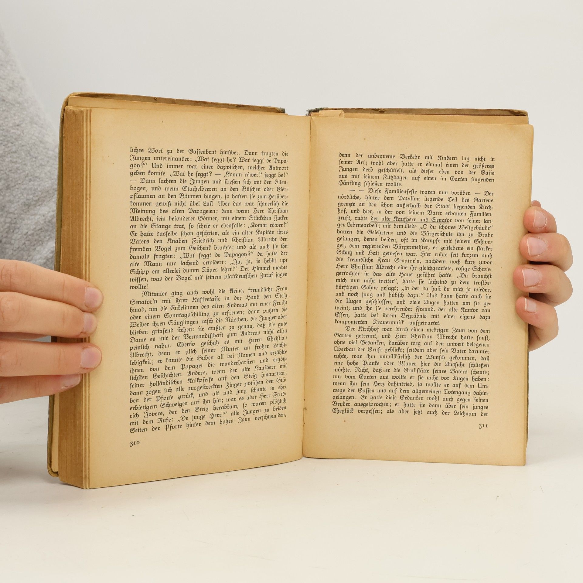 Theodor Storm Von Meer und Heide Die zehn schönsten Novellen