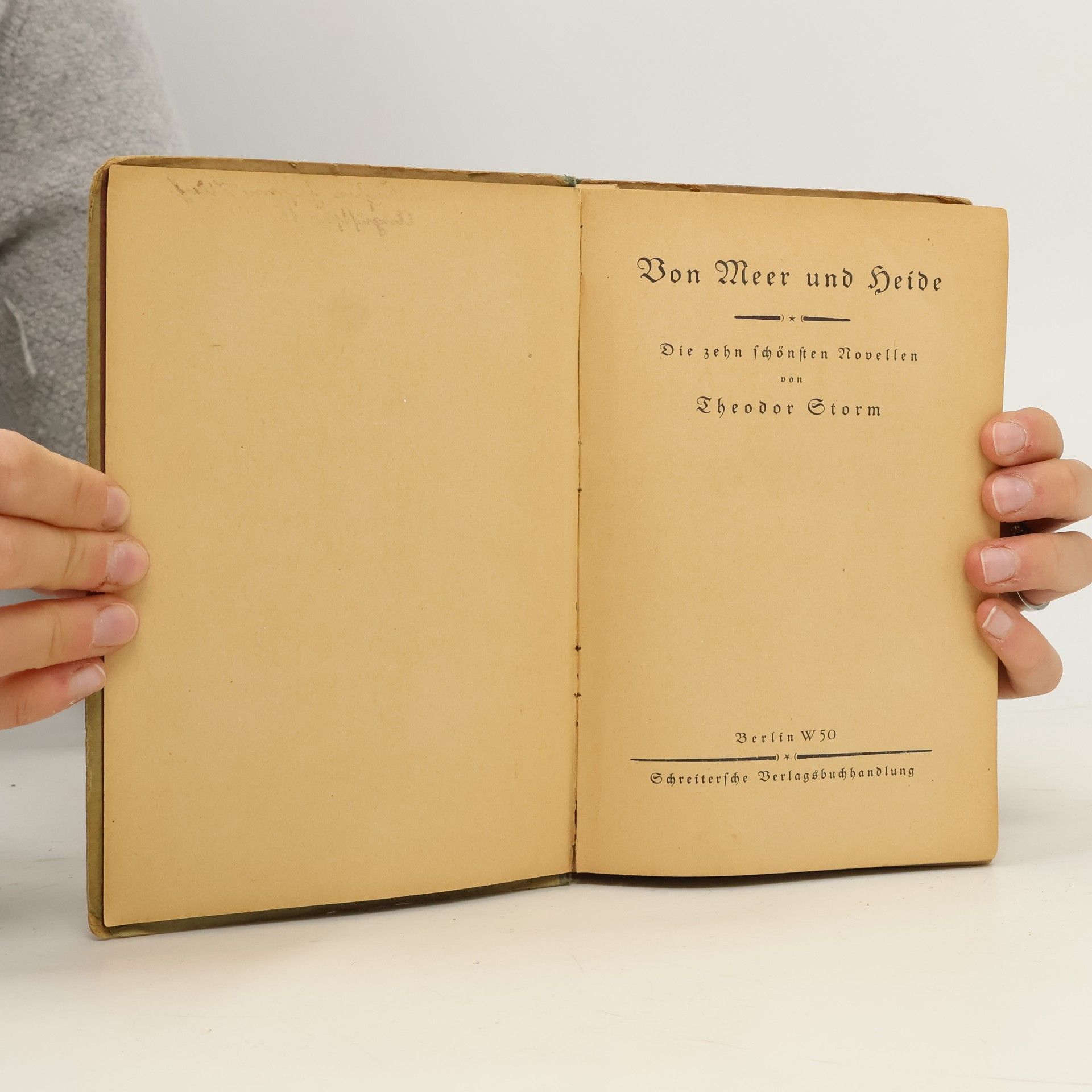 Theodor Storm Von Meer und Heide Die zehn schönsten Novellen