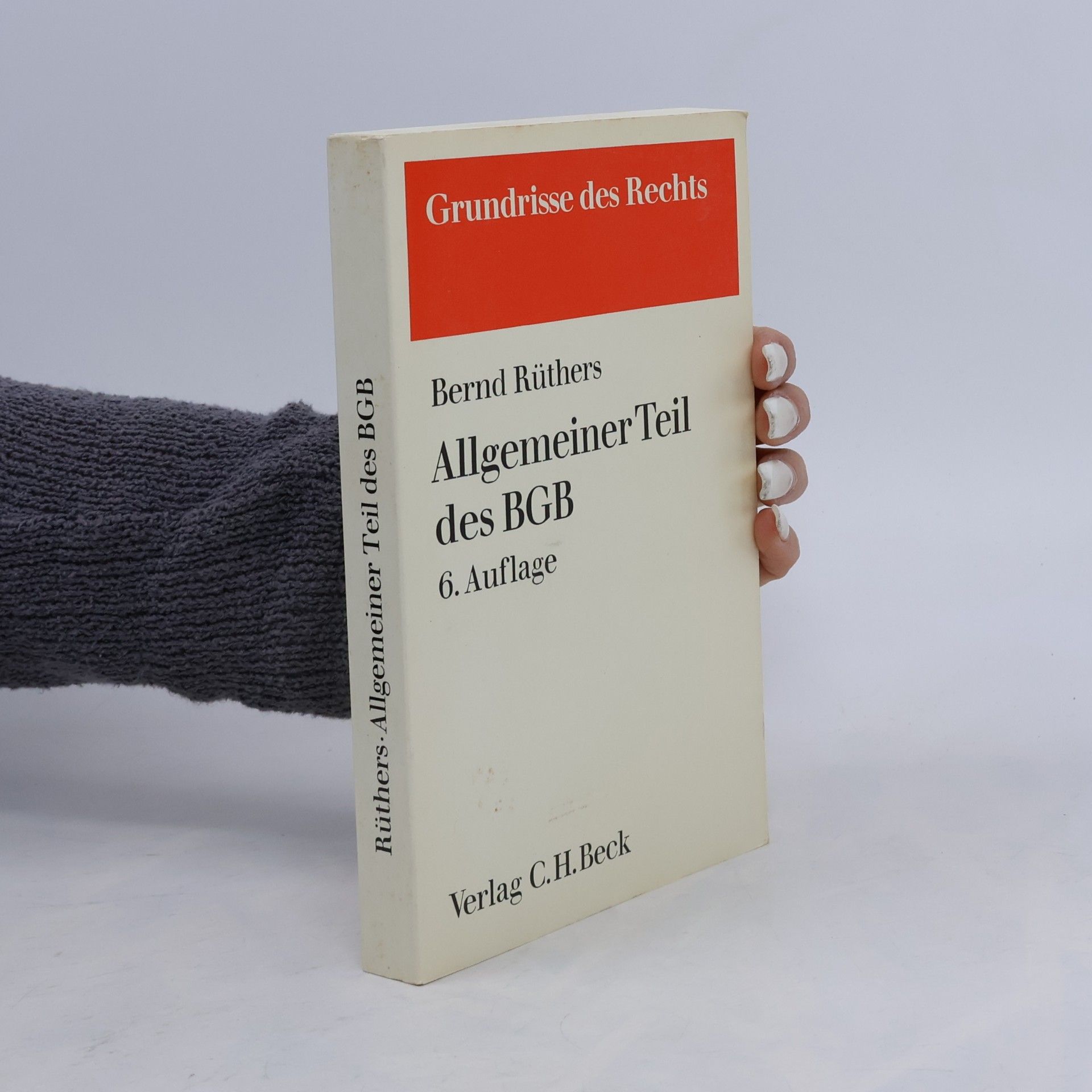 Bernd Rüthers Grundrisse des Rechts: Allgemeiner Teil des BGB