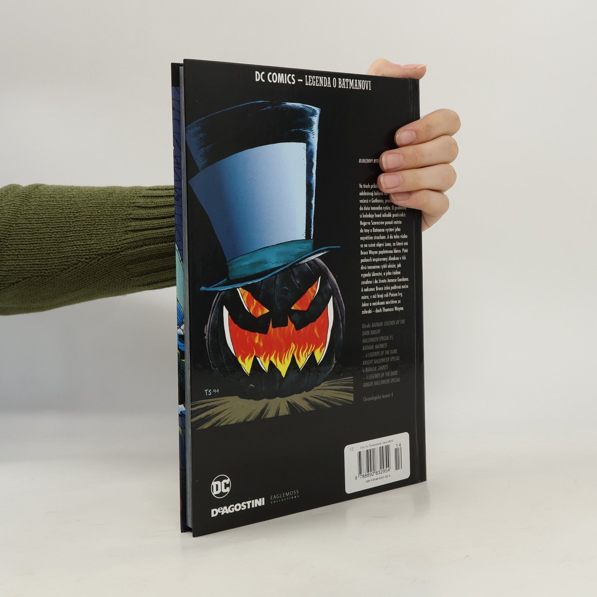 Jeph Loeb Blouznivý rytíř