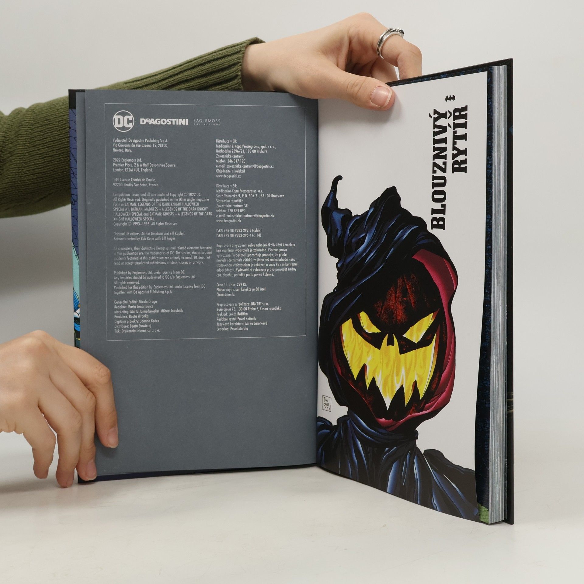 Jeph Loeb Blouznivý rytíř