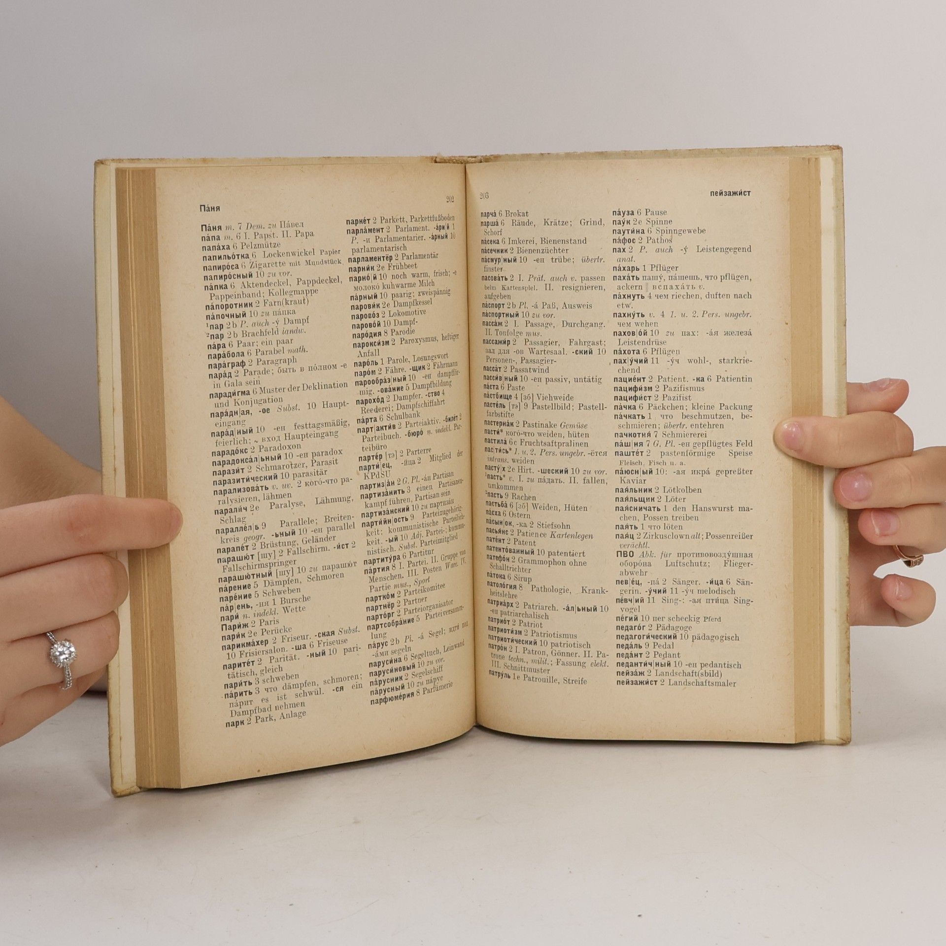 Bielfeldt Wörterbuch