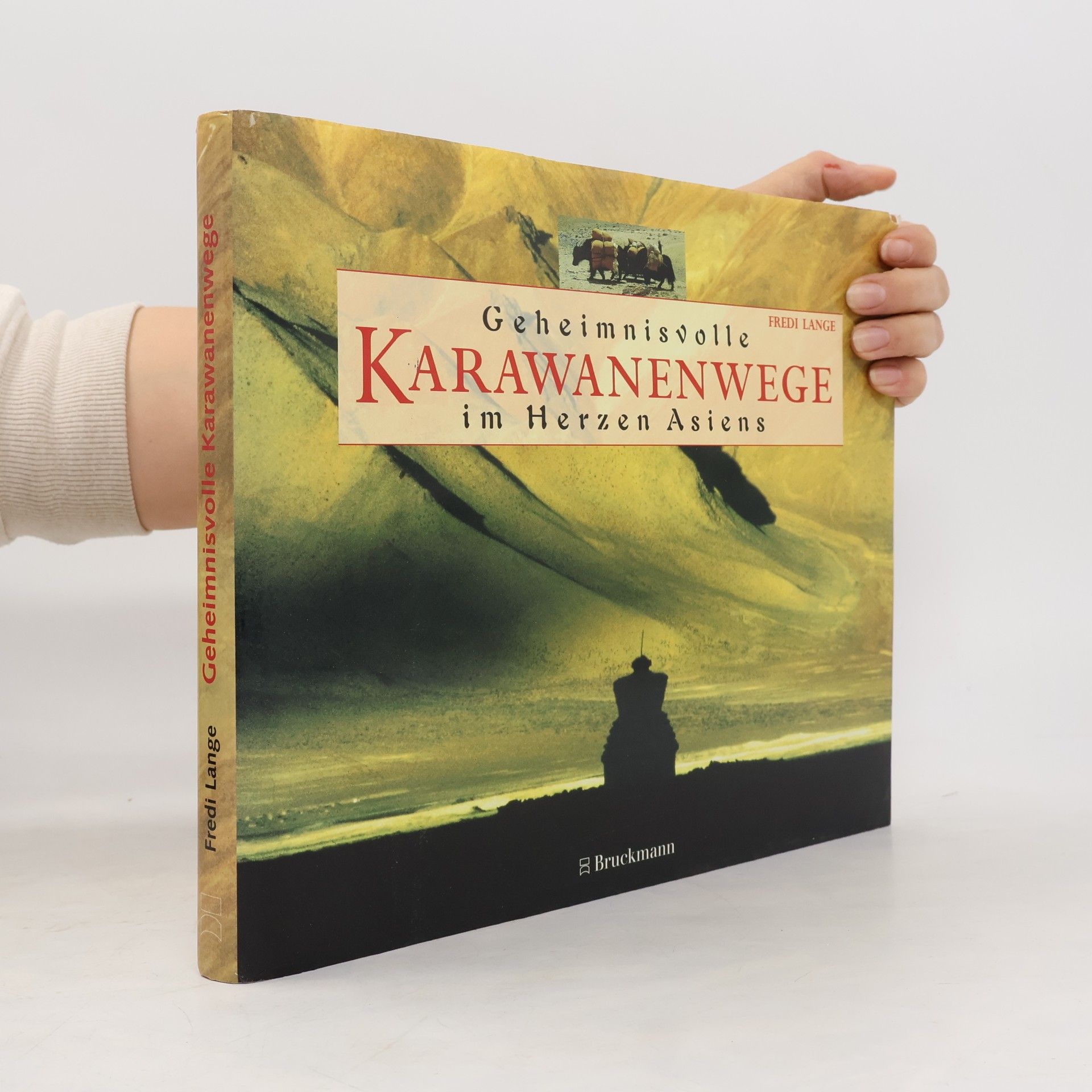 Geheimnisvolle Karawanenwege im Herzen Asiens