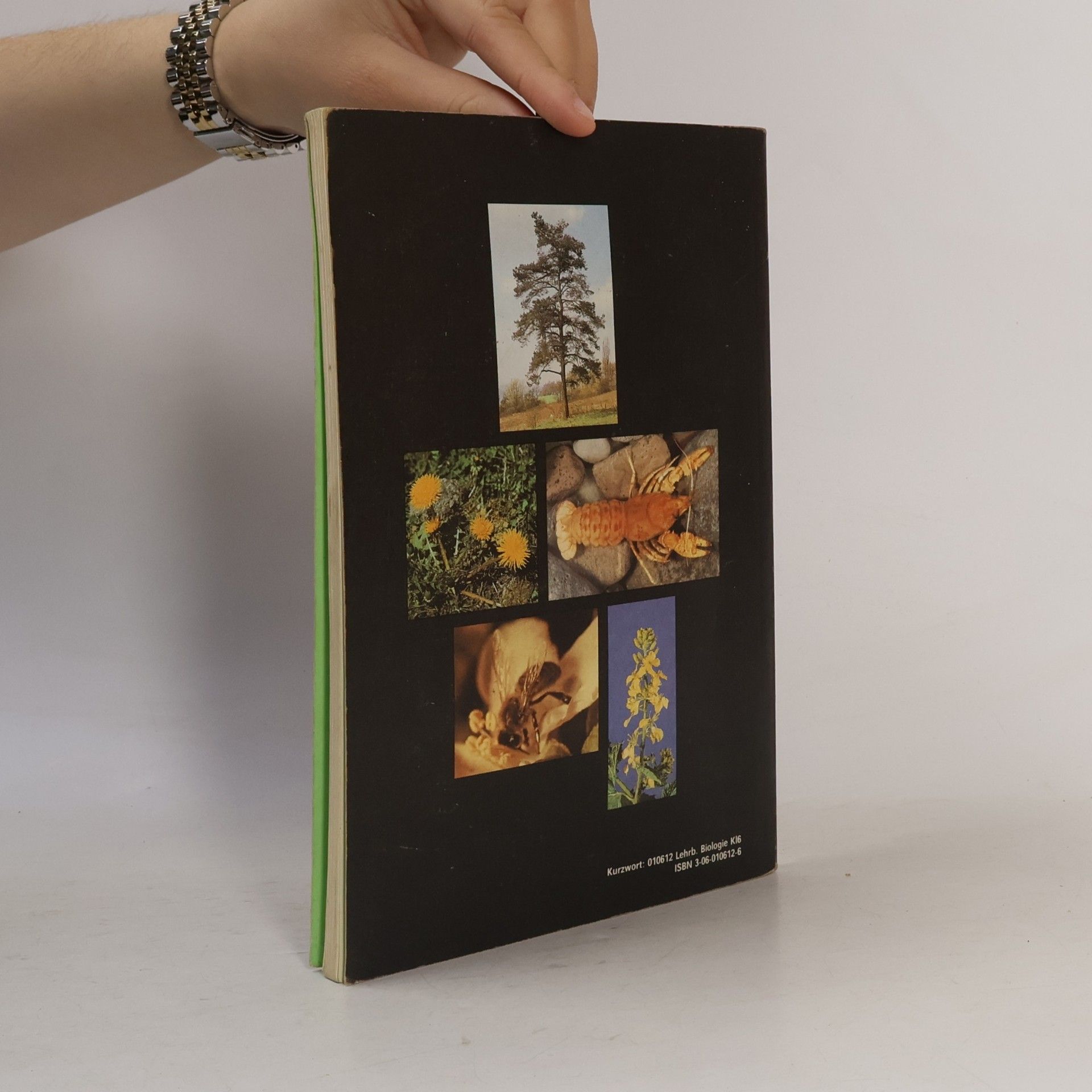 Siegfried Brehme Biologie. Lehrbuch für Klasse 6.