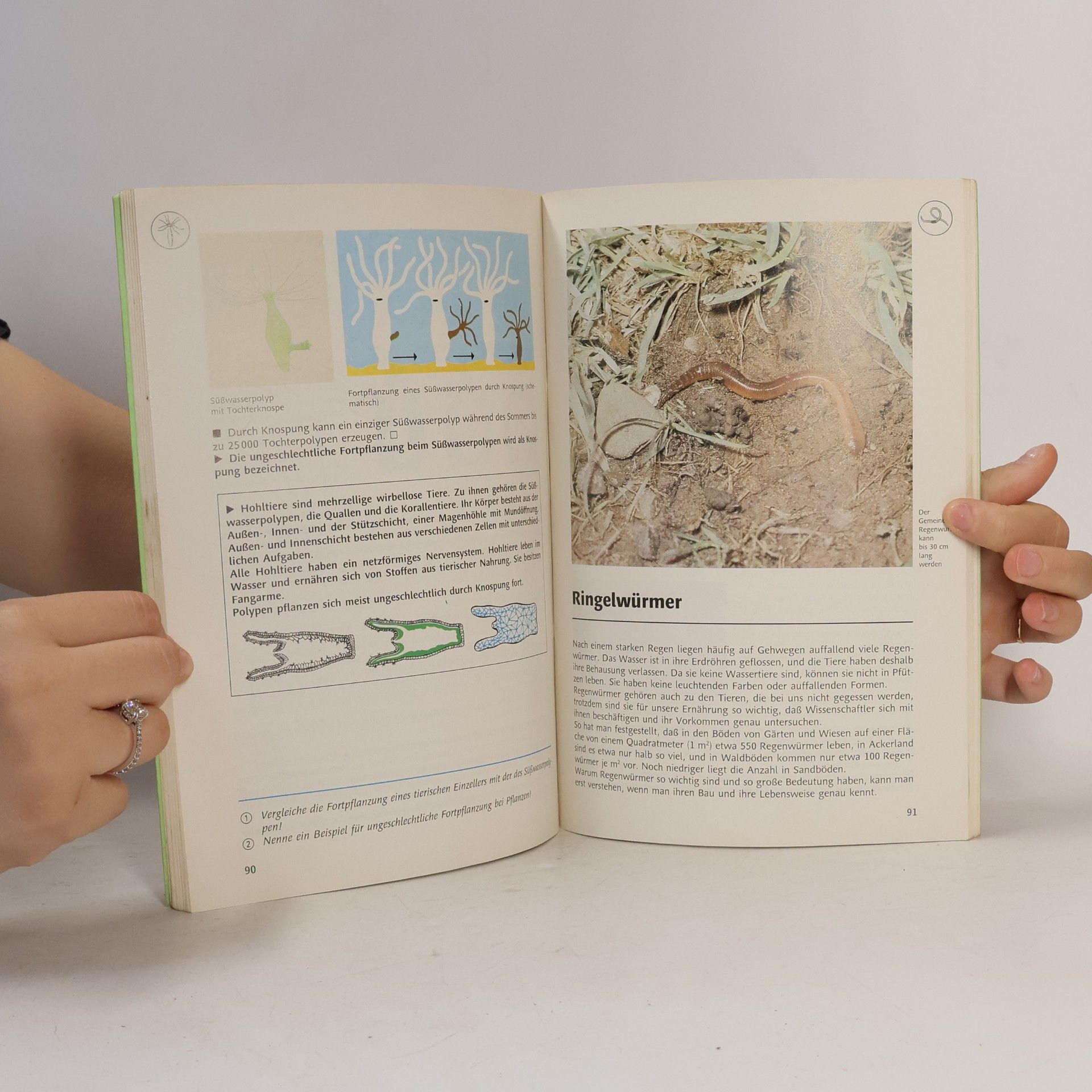 Siegfried Brehme Biologie. Lehrbuch für Klasse 6.