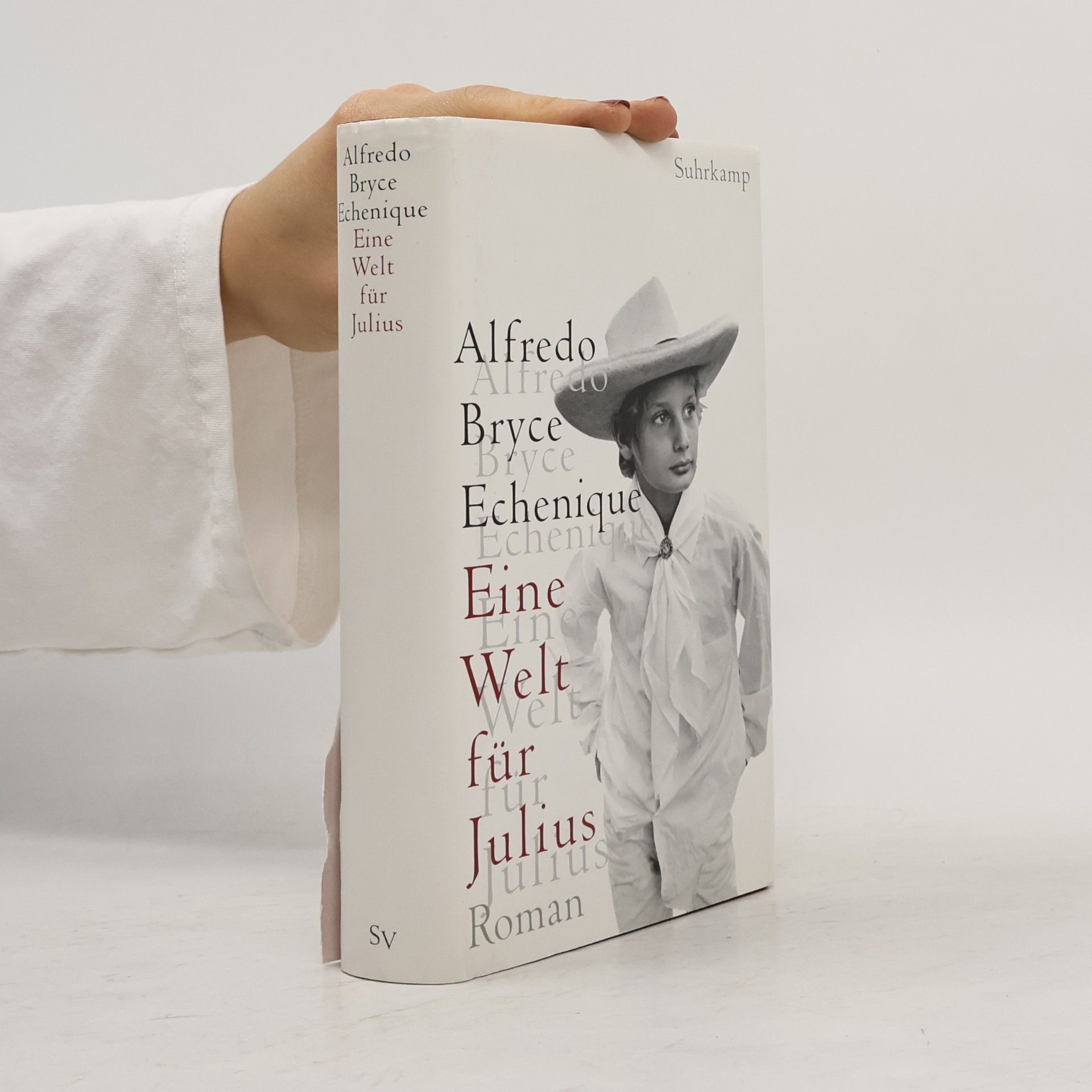 Alfredo Bryce Echenique Eine Welt für Julius