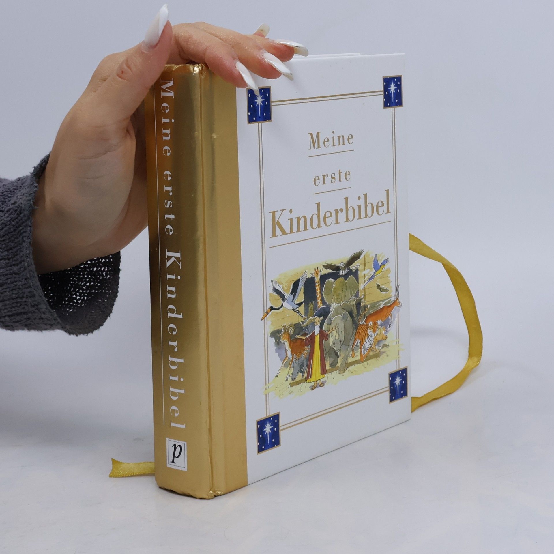 Meine erste Kinderbibel