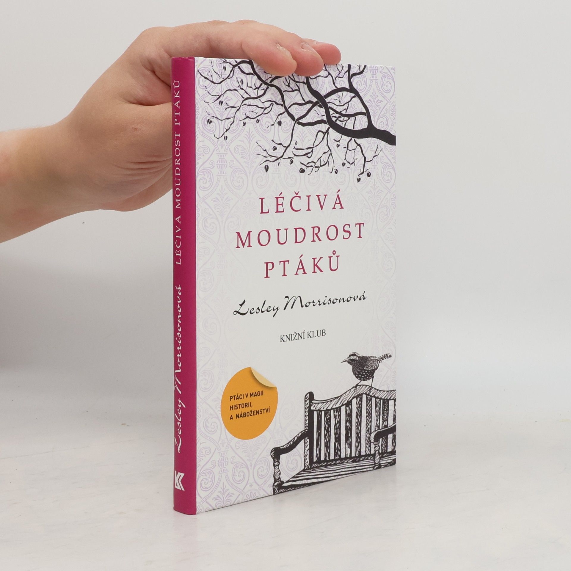 Lesley Morrison Léčivá moudrost ptáků : ptáci v magii, historii a náboženství