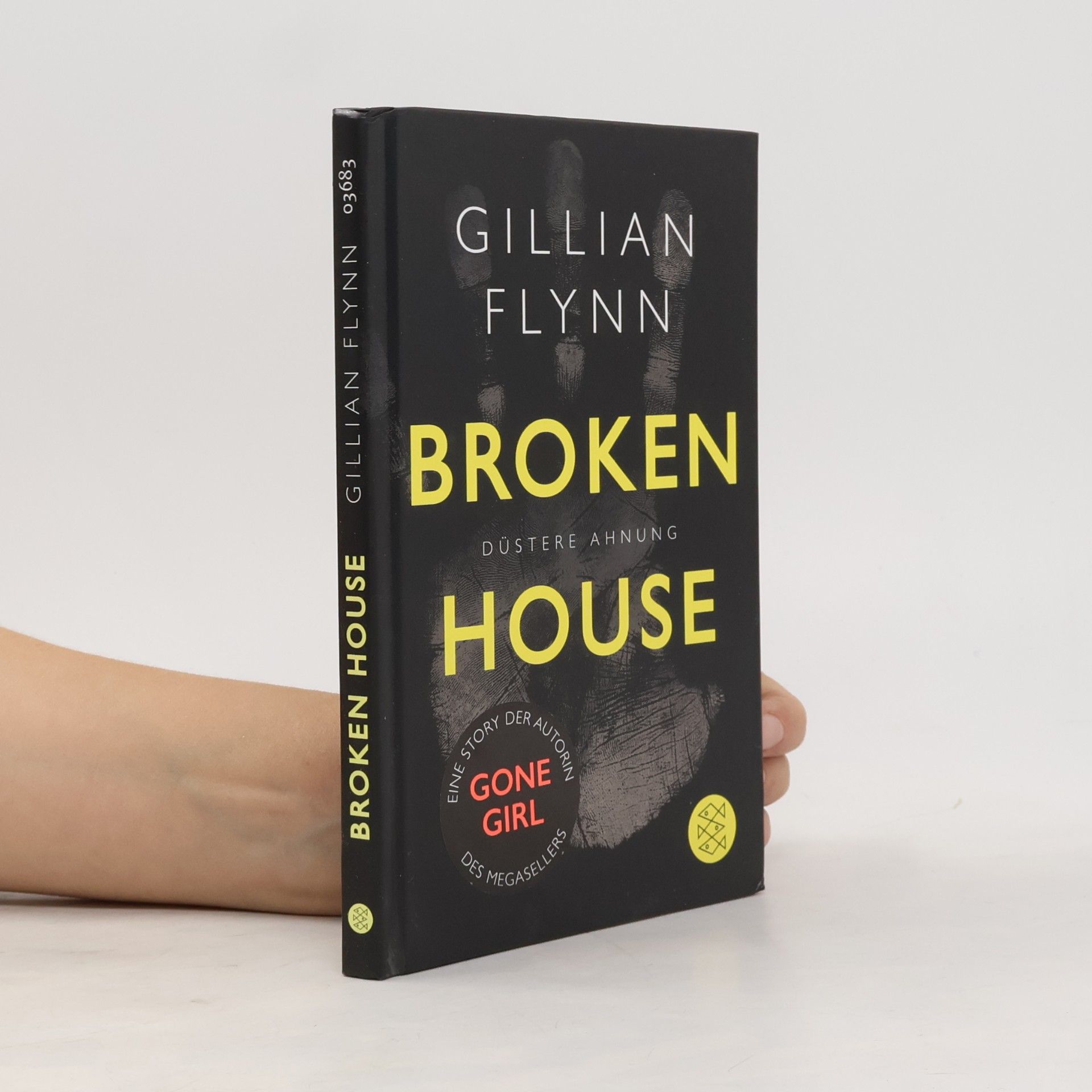 Gillian Flynn Broken House