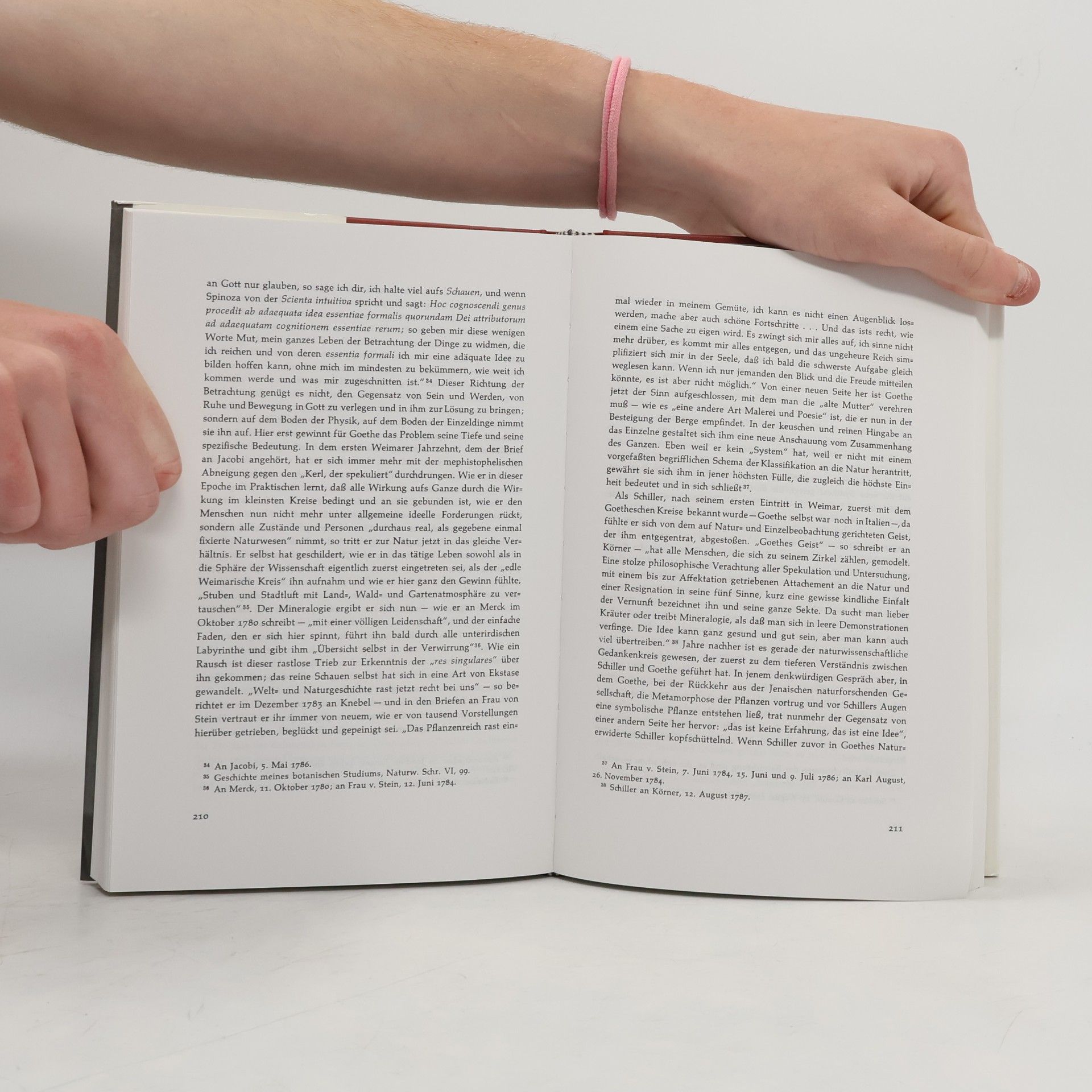 Ernst Cassirer Freiheit und Form